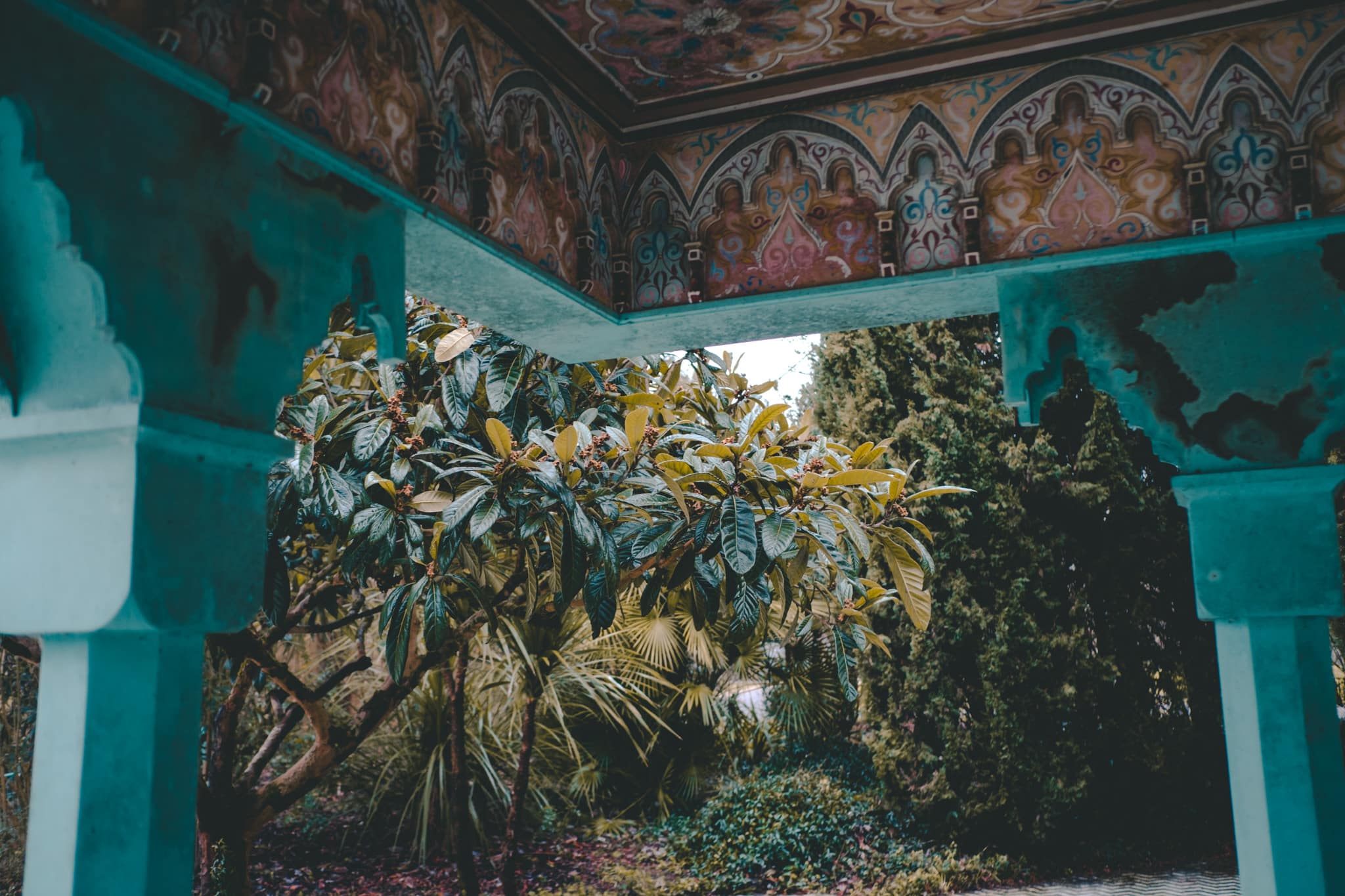 Ambiance majorelle dans cette balade autour de Bordeaux