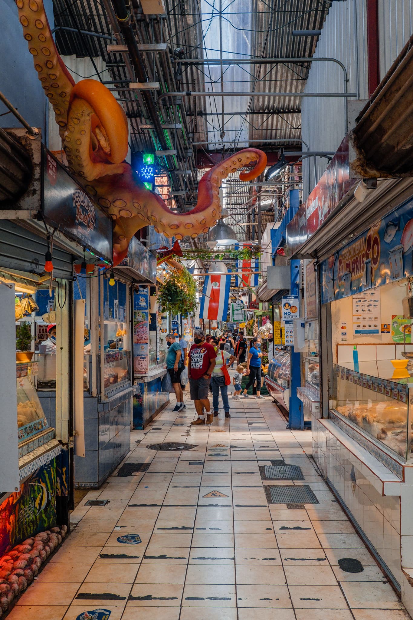 Un drôle d'animal dans le marché