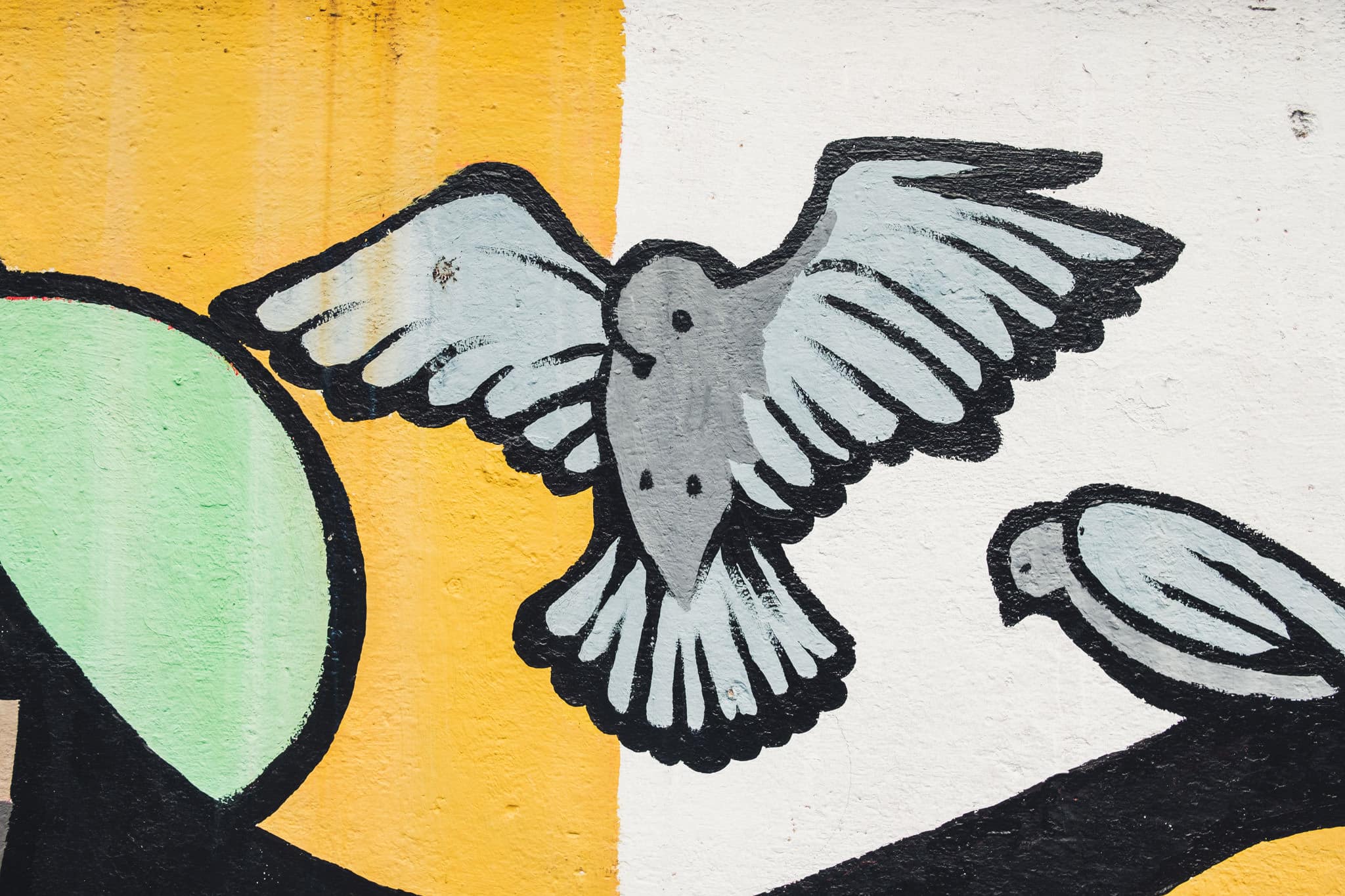 colombe de la paix à san jose costa rica