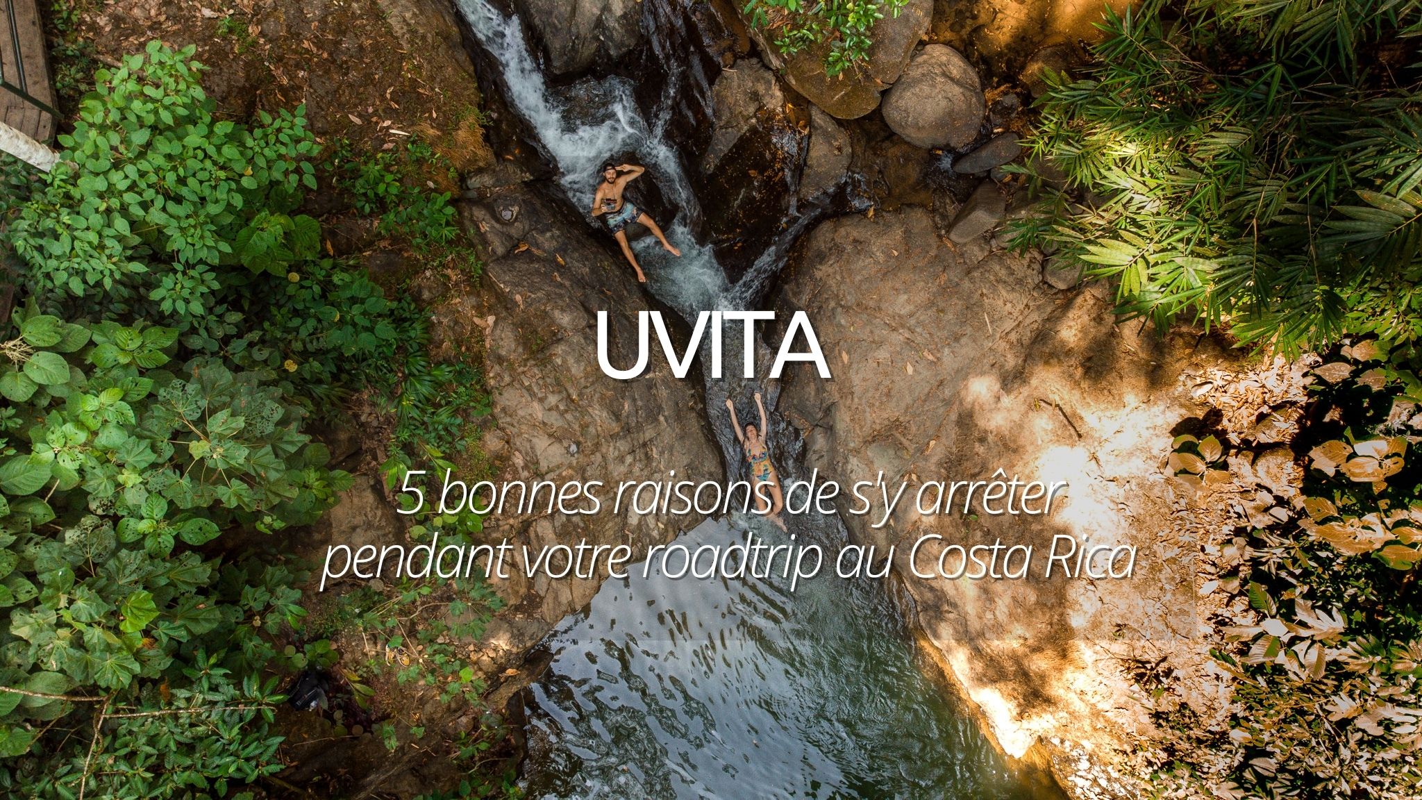 couverture uvita les paresseux curieux