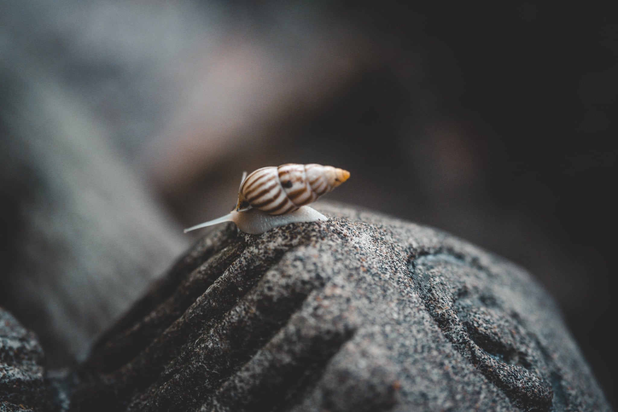 Rencontre sur la route, Cascade de la Fortuna