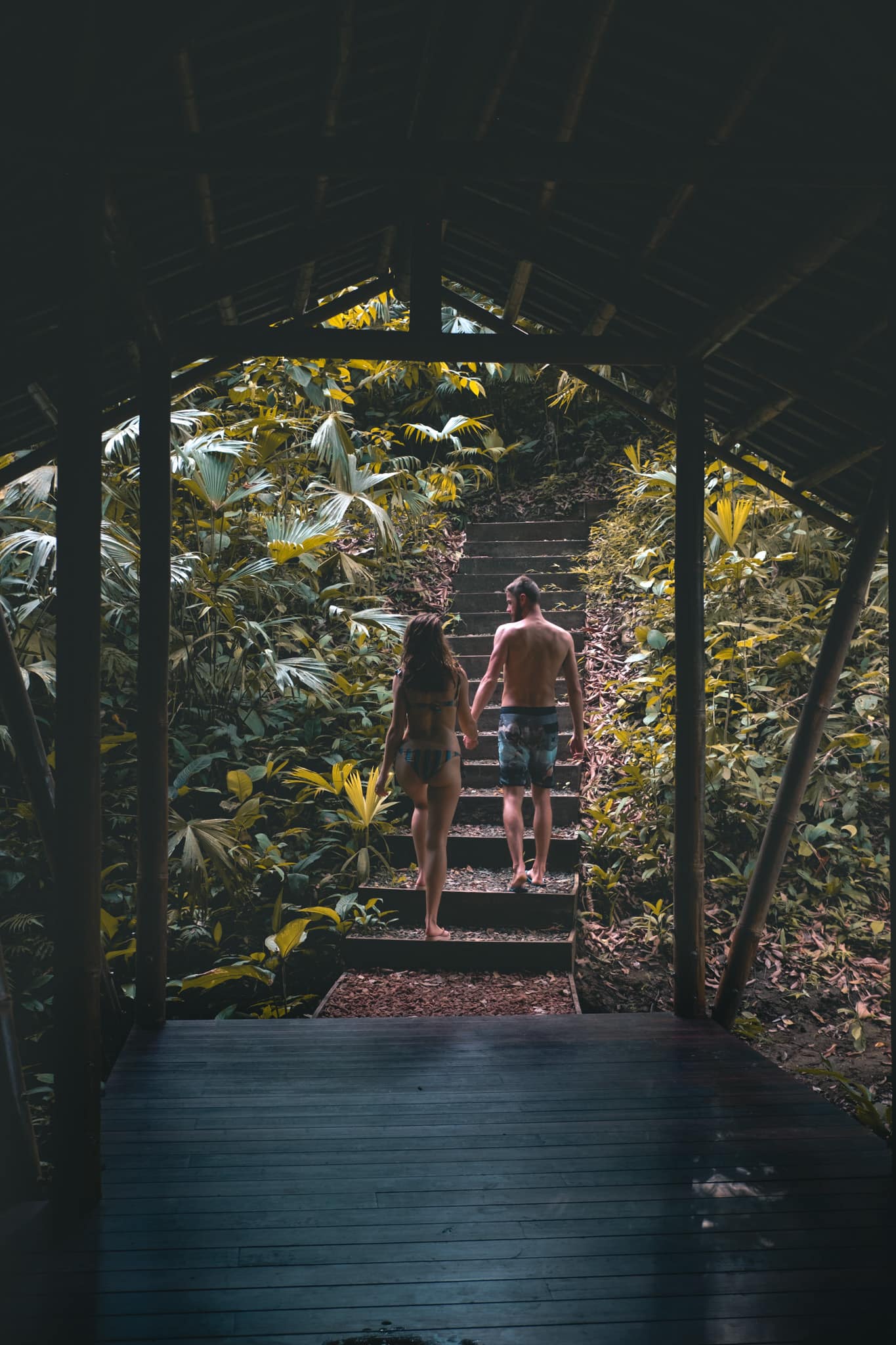 Les mimis dans la jungle