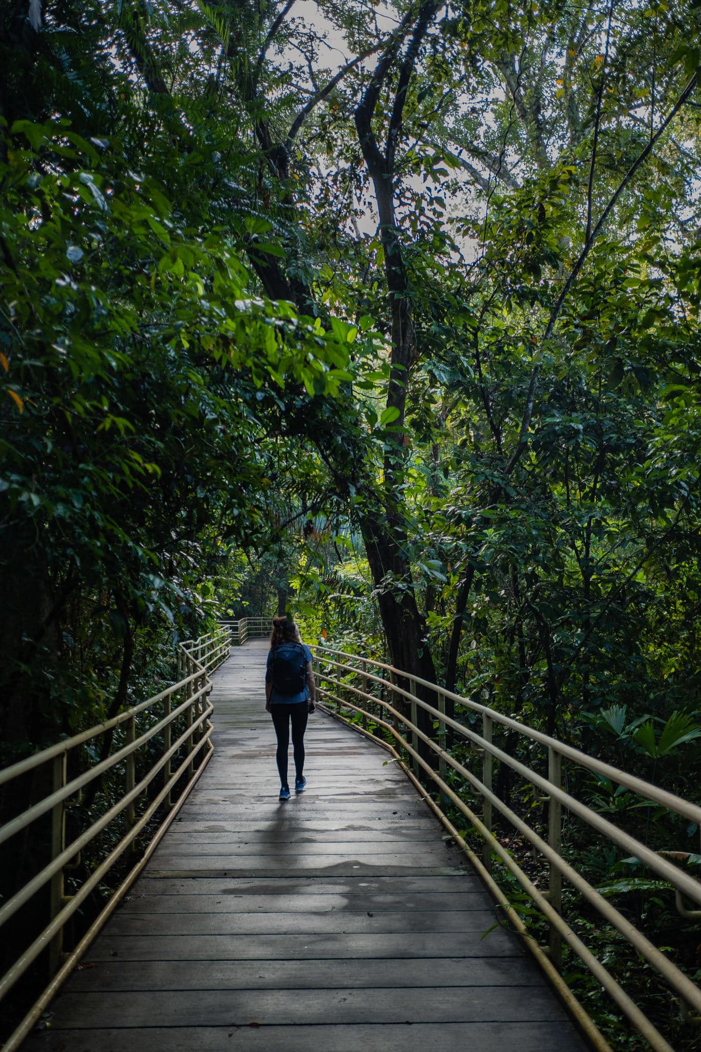 Promenade matinale dans le parc naturel de Manuel Antonio