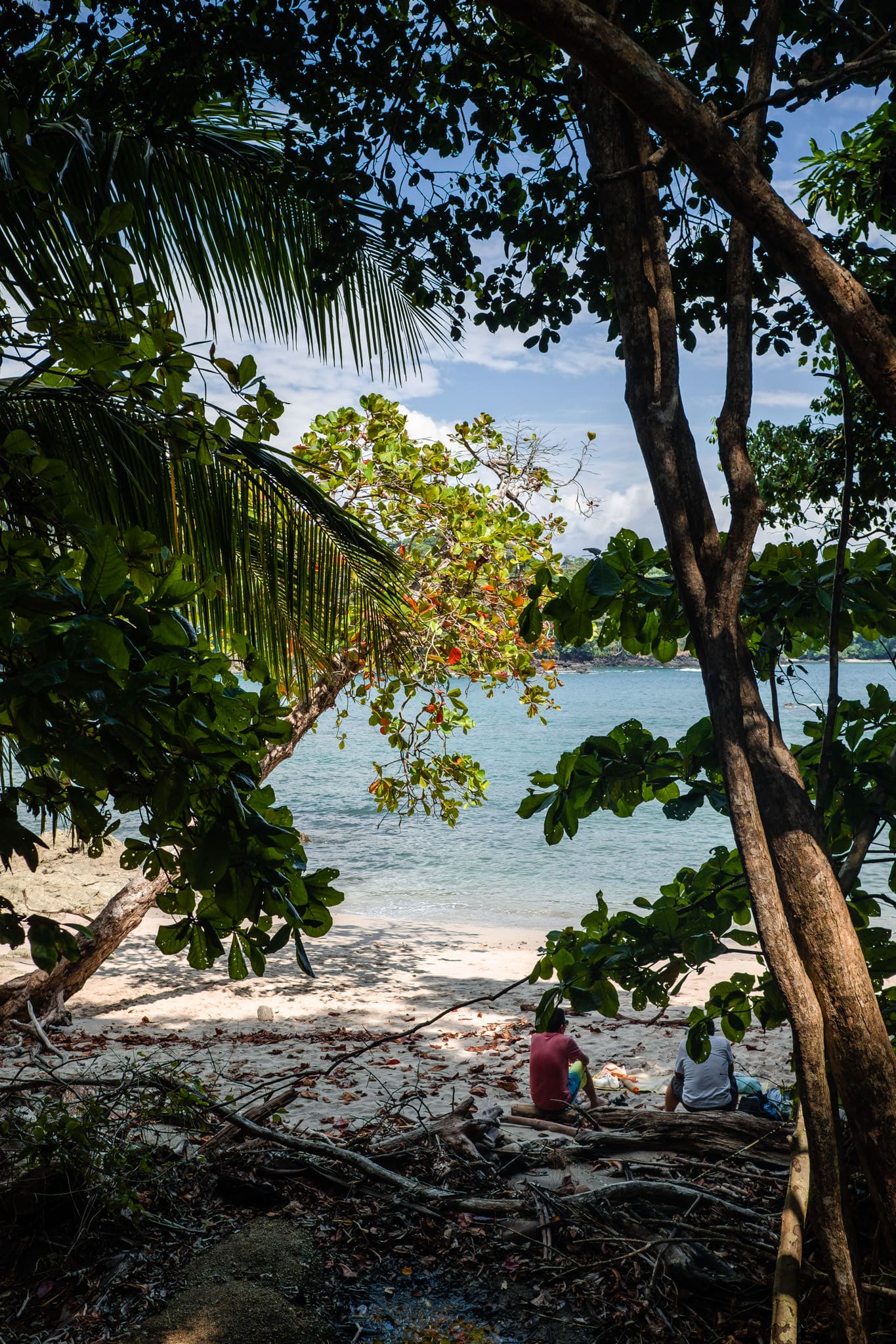 petite pause à l'ombre sous le soleil de l'équateur