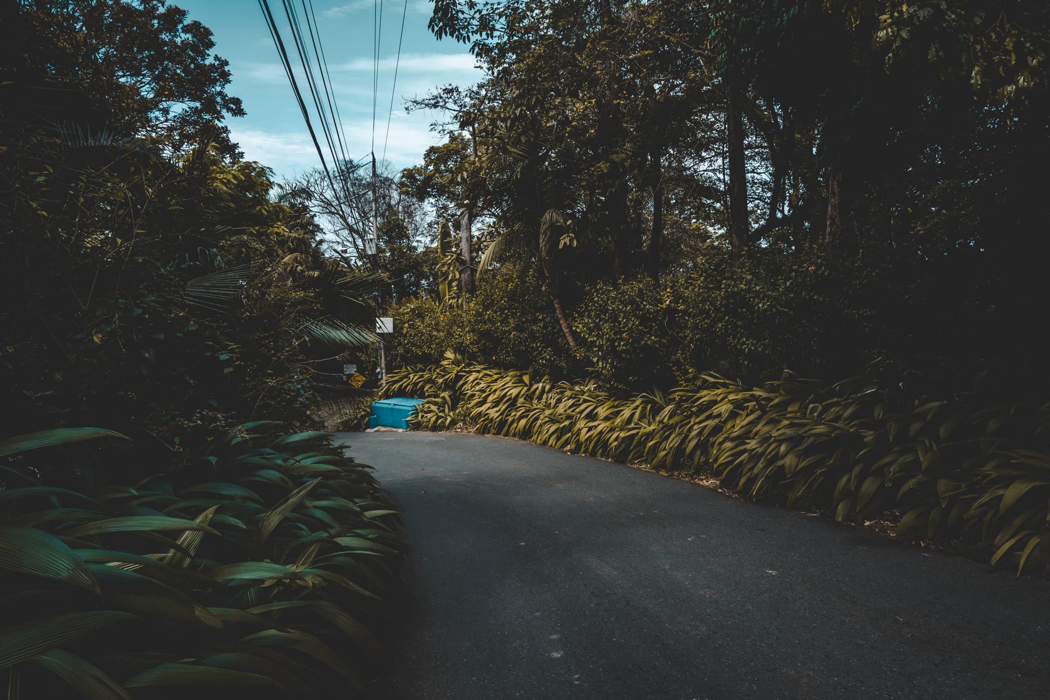 la route est magnifique