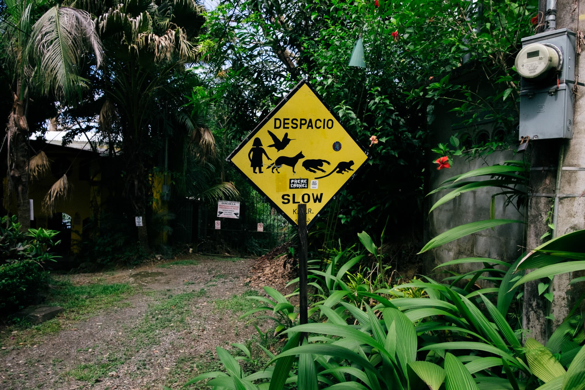 Des créatures vivantes peuvent passer sur la route !