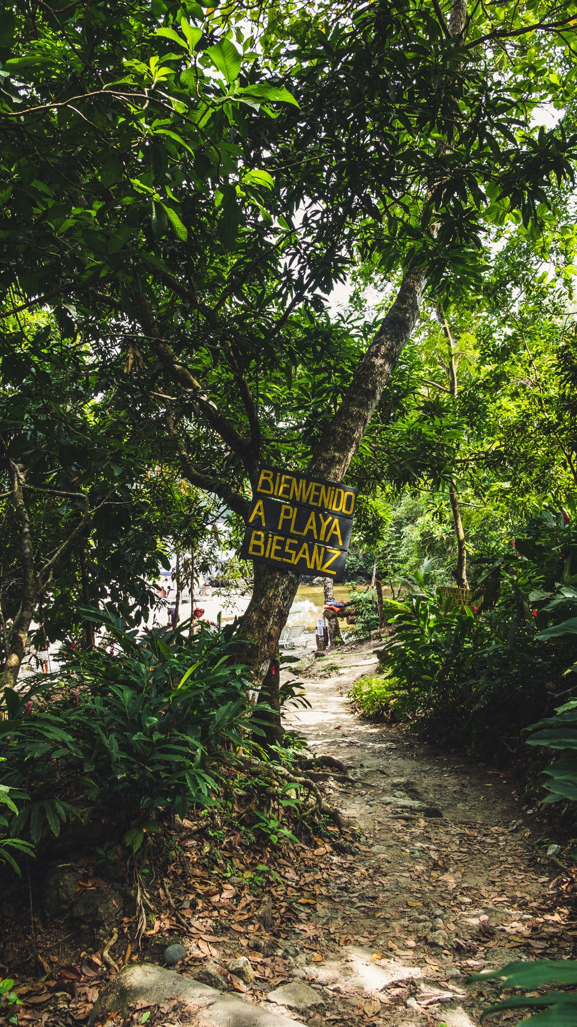 bienvenido a playa biesanz