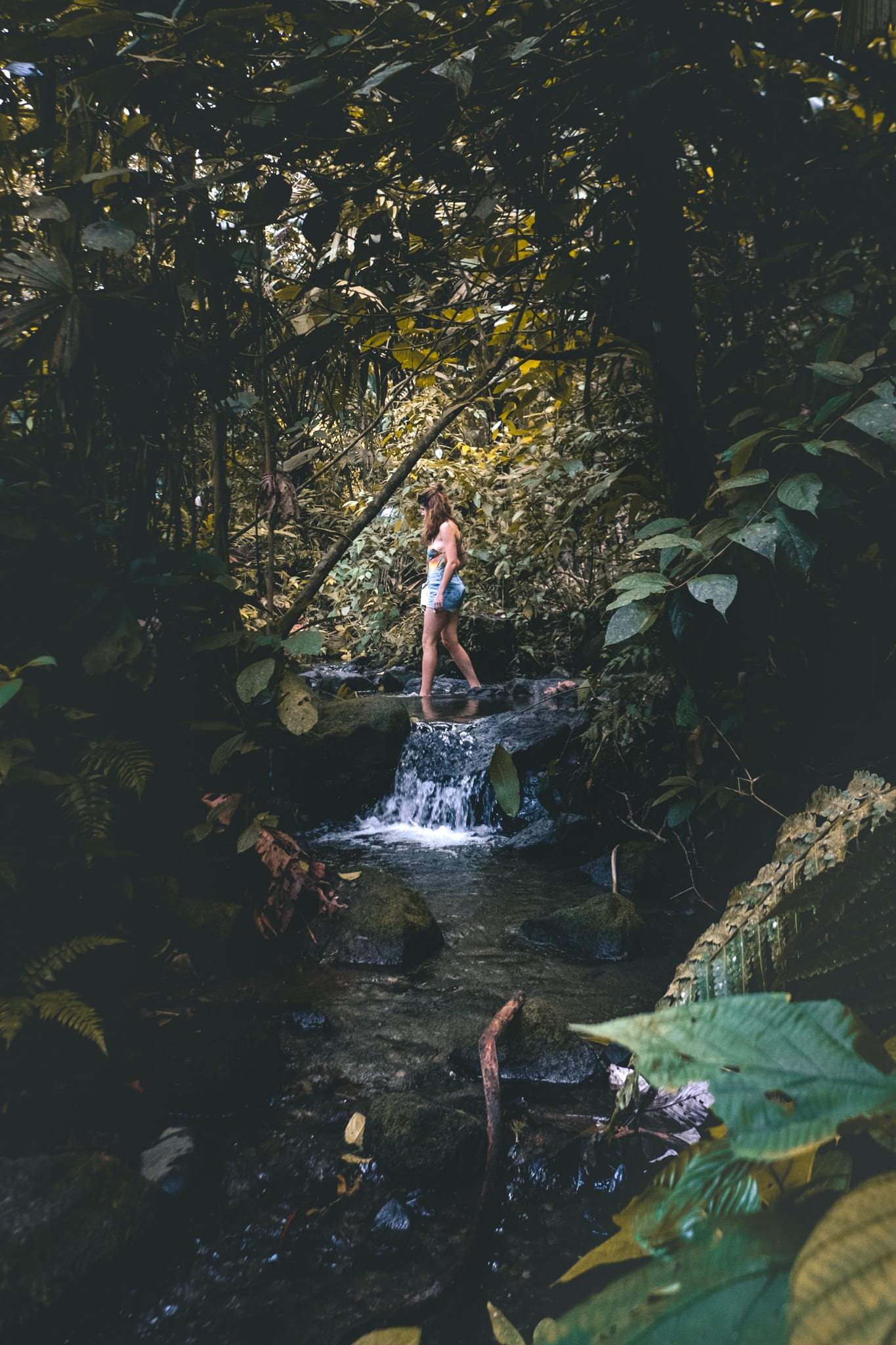 Rivière et nature, Thermes de Tabacon