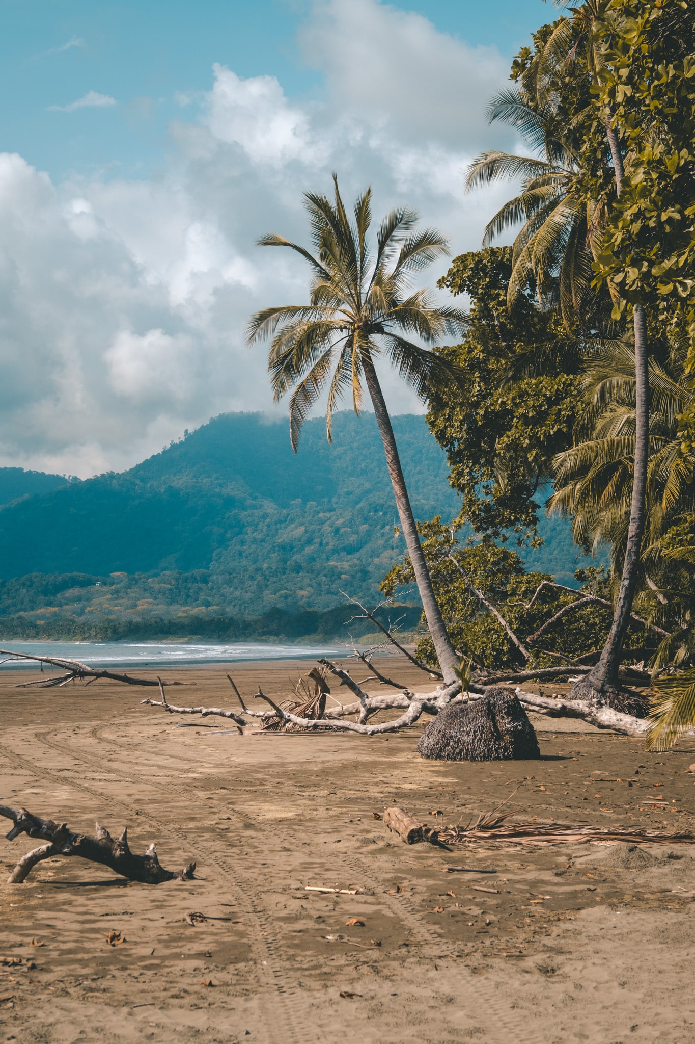Nature sur la plage, playa Uvita, Uvita