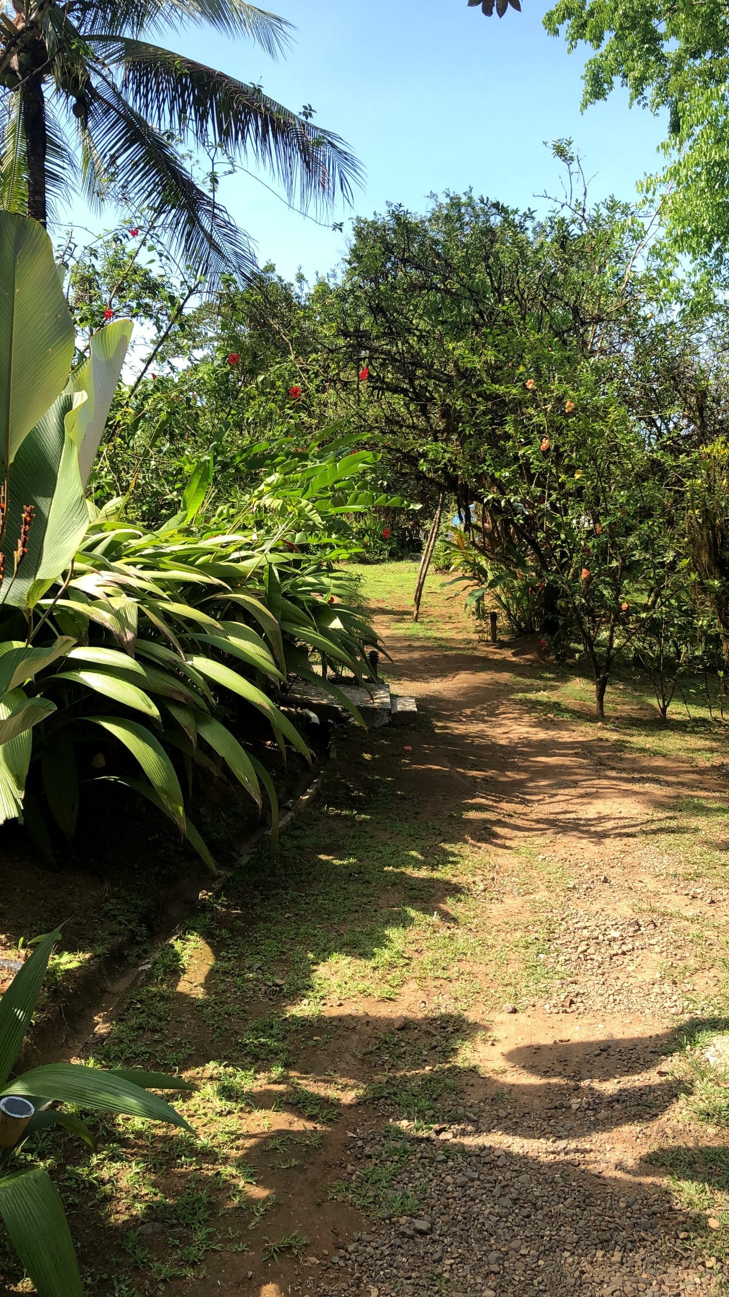 Accès à l'hostel Mohagine, Drake Bay, Corcovado