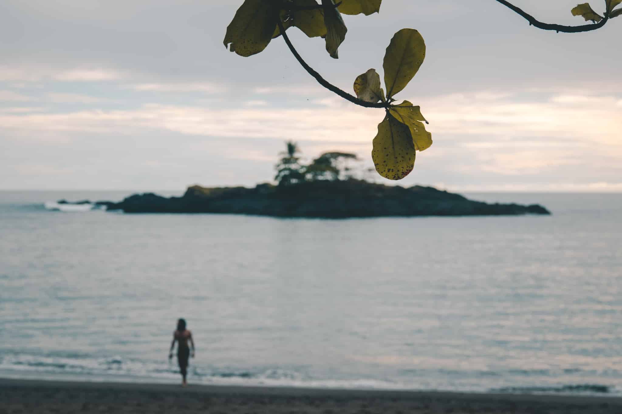 Le retour du nageur, Drake Bay, Corcovado