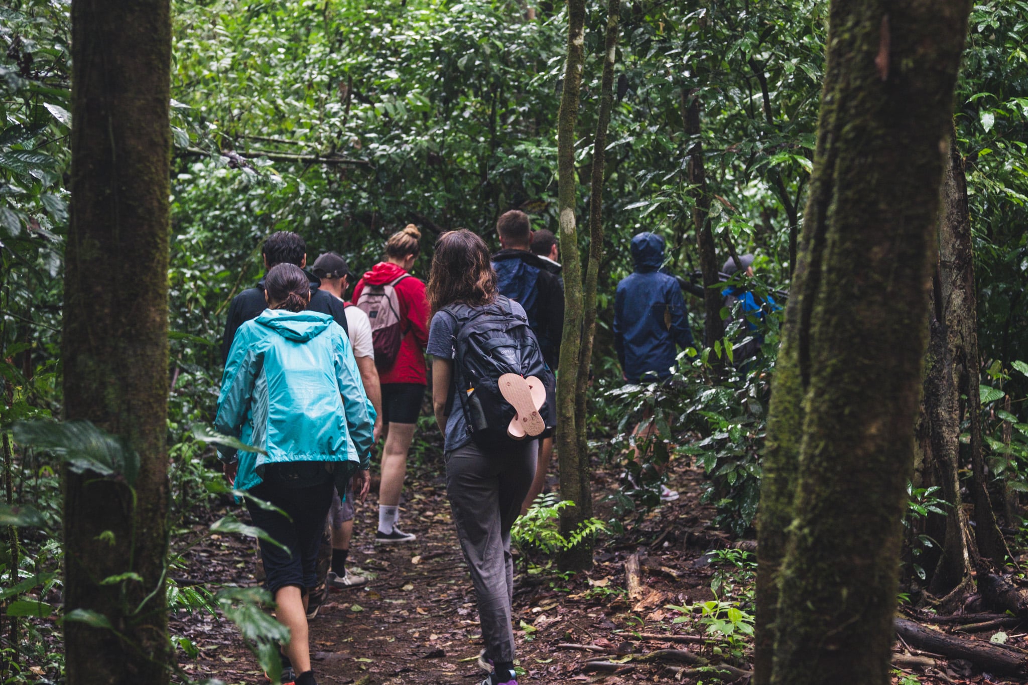 Randonnée au parc national du Corcovado