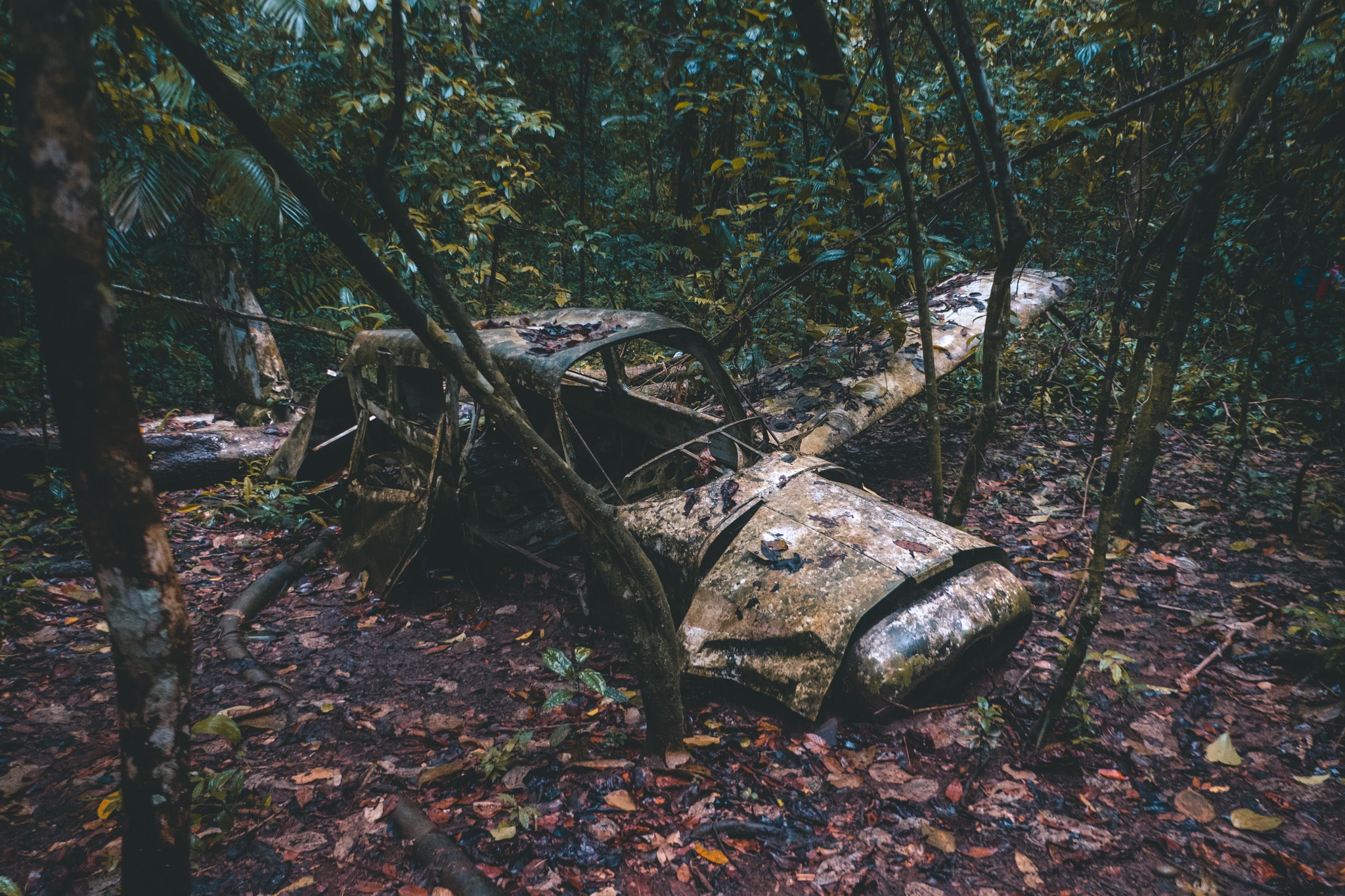 Vraiment curieux cette épave