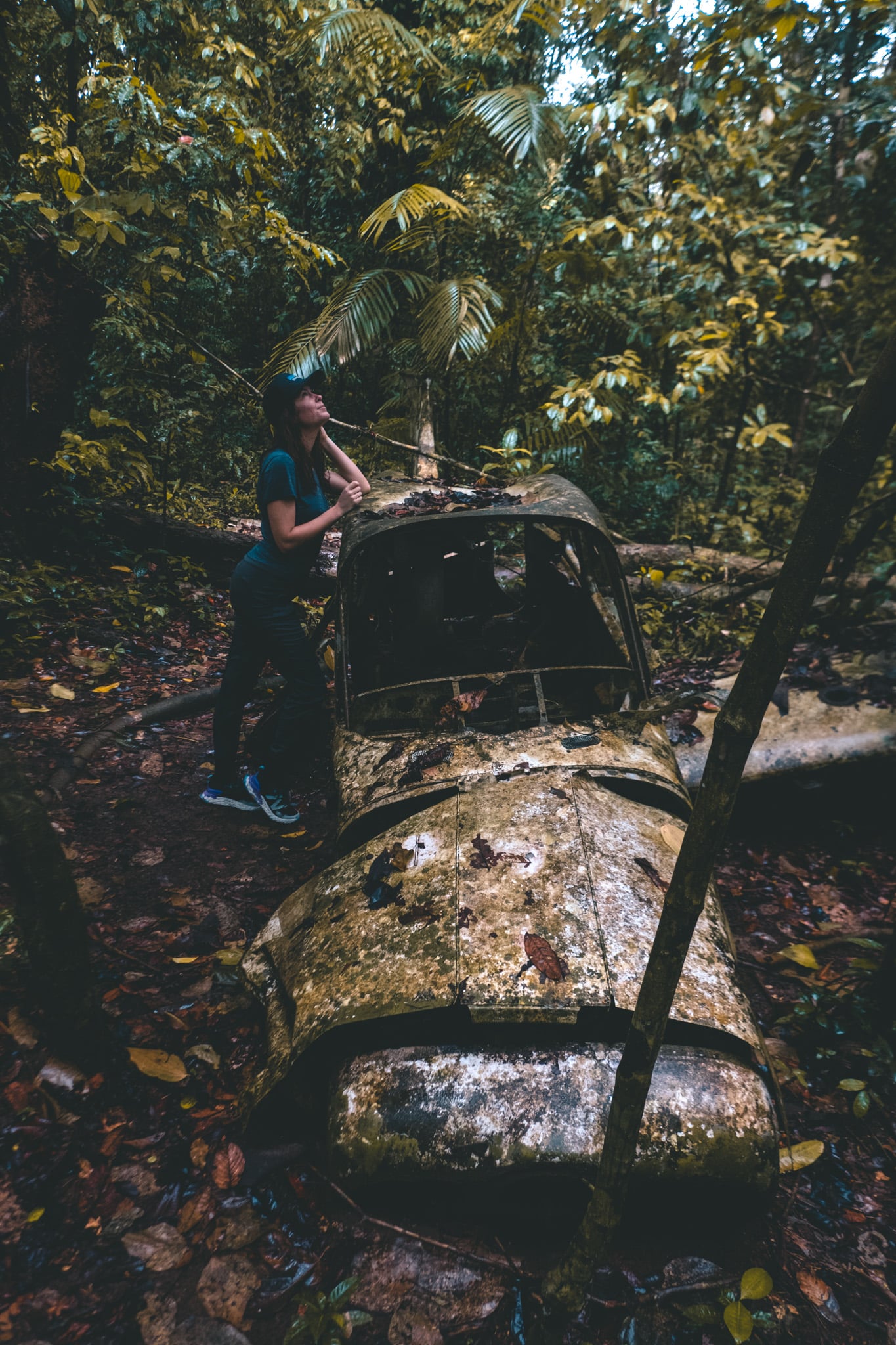 Carcasse d’avion dans le parc
