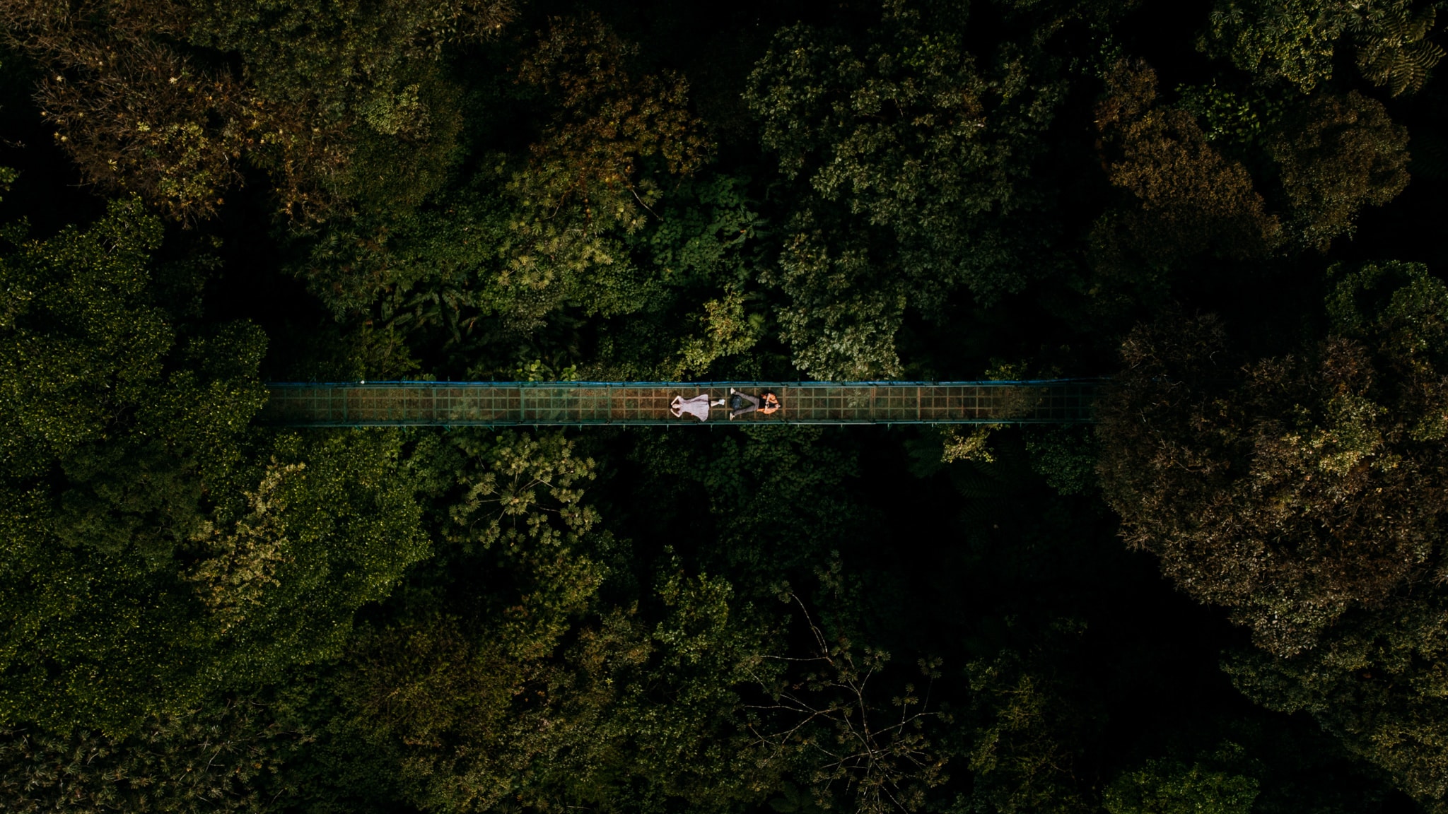 vue de drone selvatura park hanging bridges