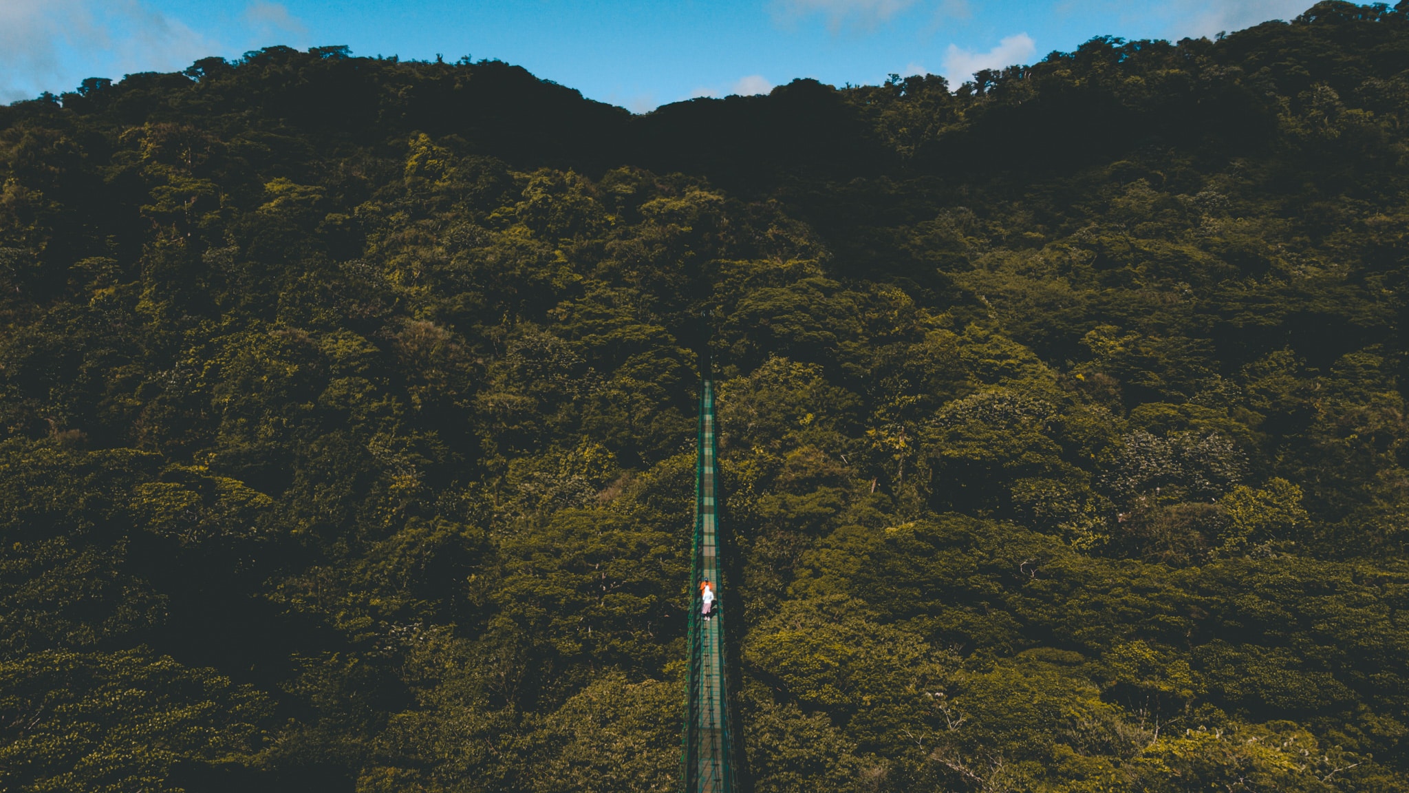 Perdus dans la foret de Santa Elena