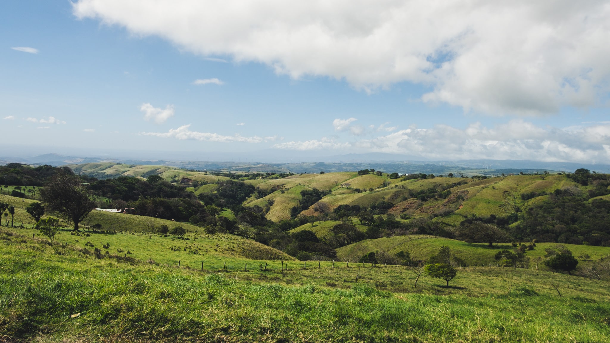 du vert à perte de vue à monteverde