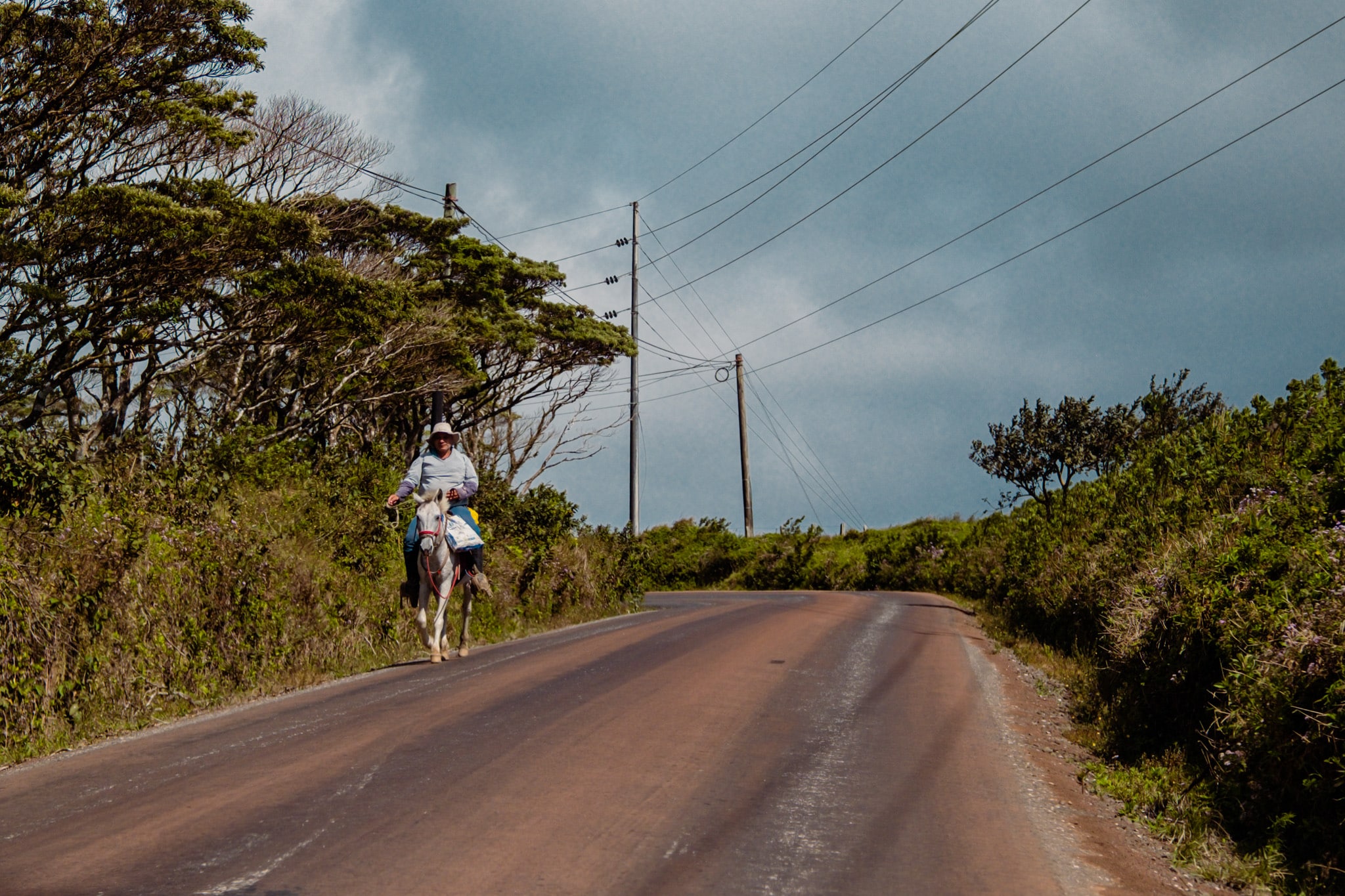 pas que des voitures sur les routes du costa rica