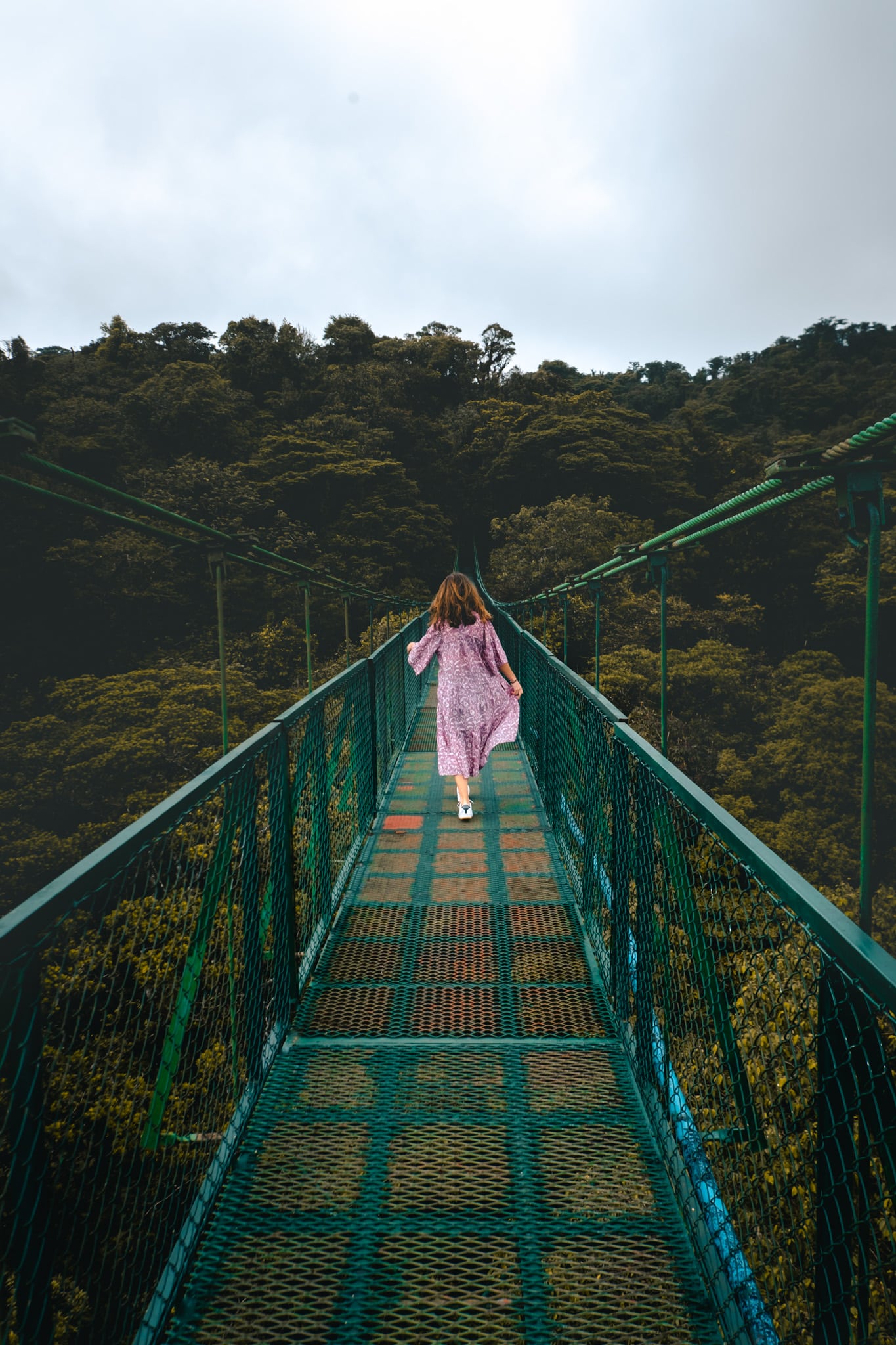 hanging bridge monteverde