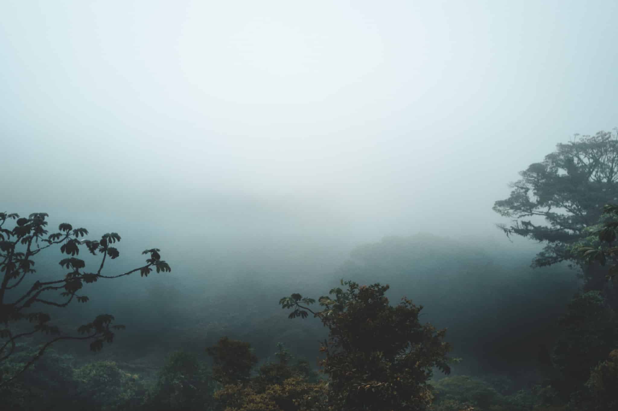 point de vue santa elena cloud forest