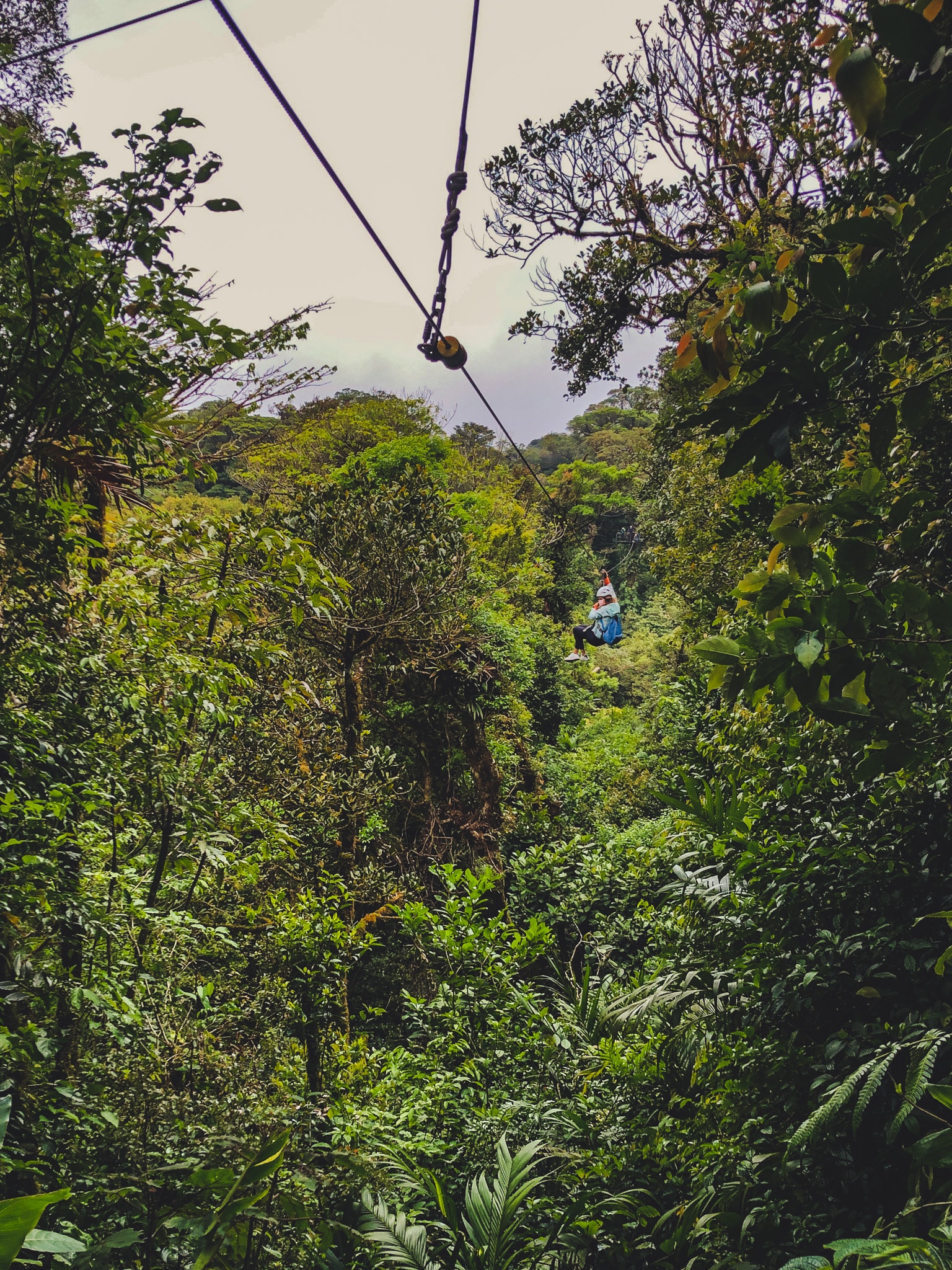 Mimi sur les zipline de la selvatura park