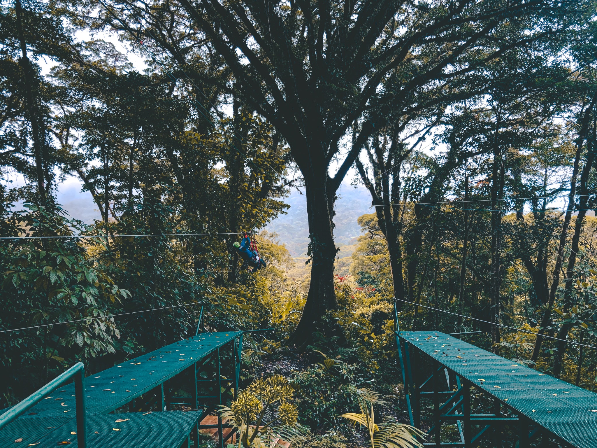 Arrivée selvatura park monteverde