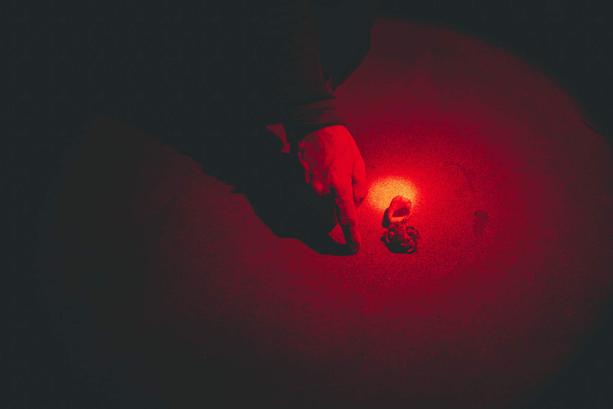 bernard lermite à samara