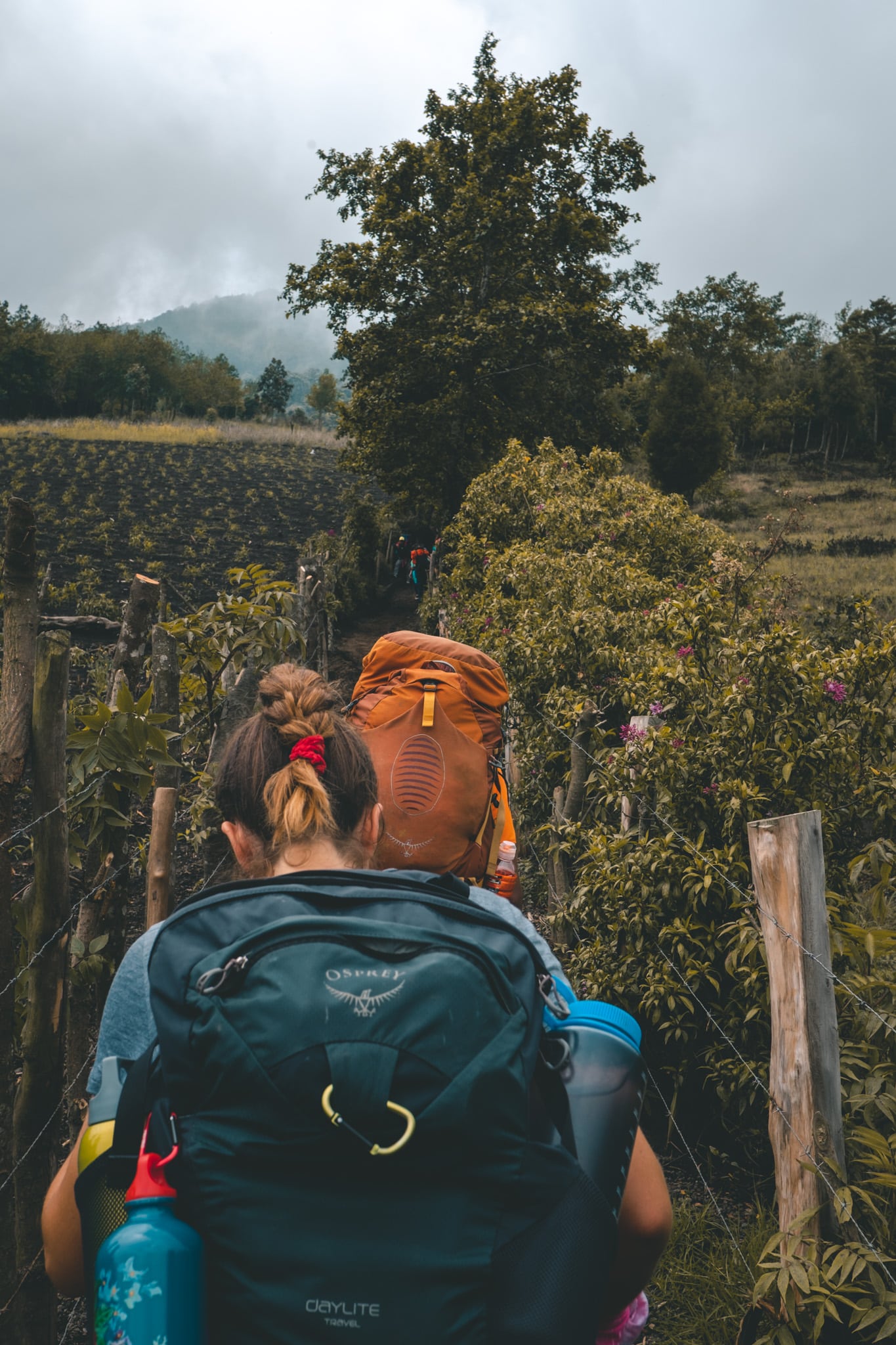 Mimi qui grimpe acatenango