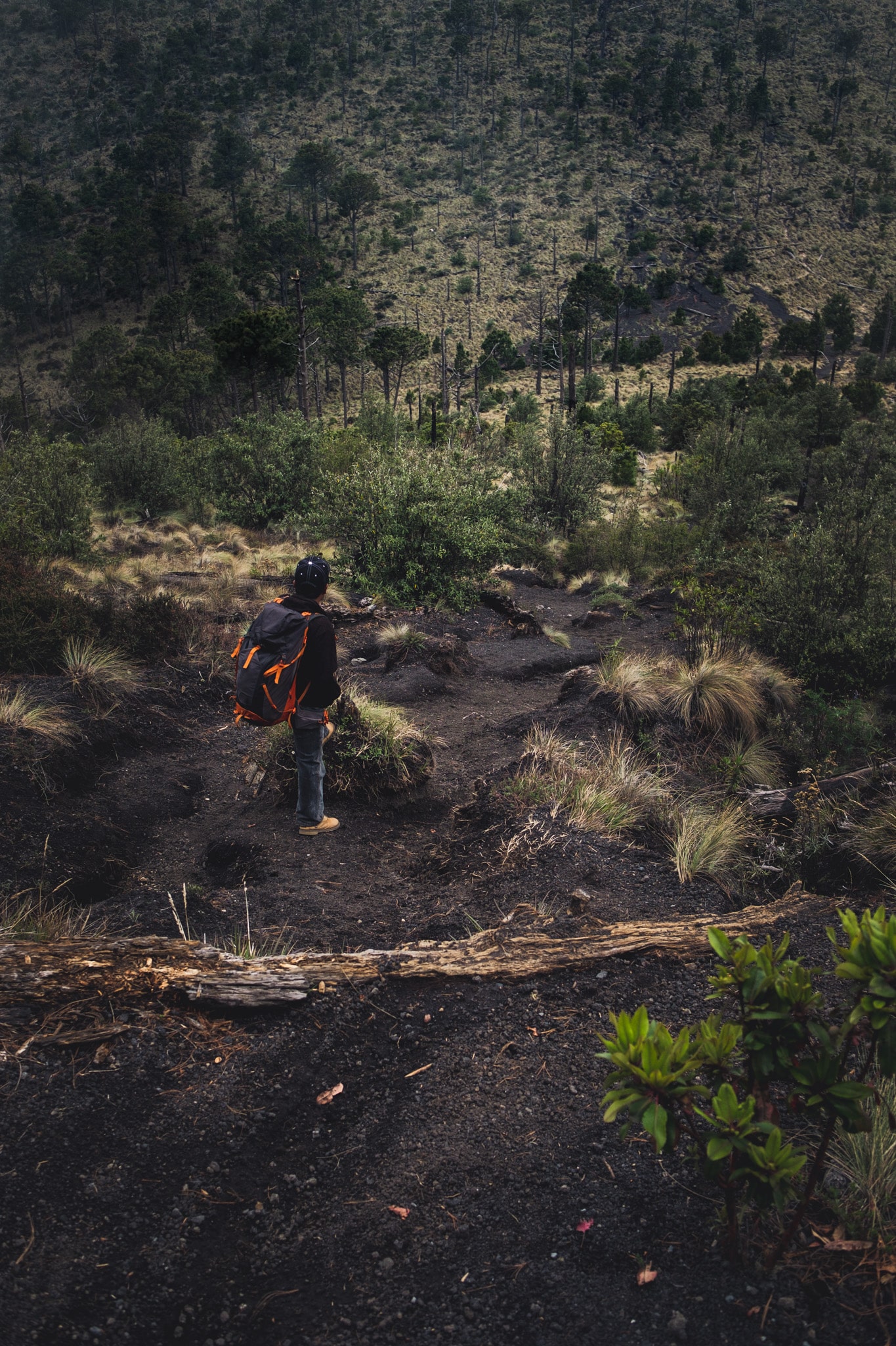 Victor ouvre la voie