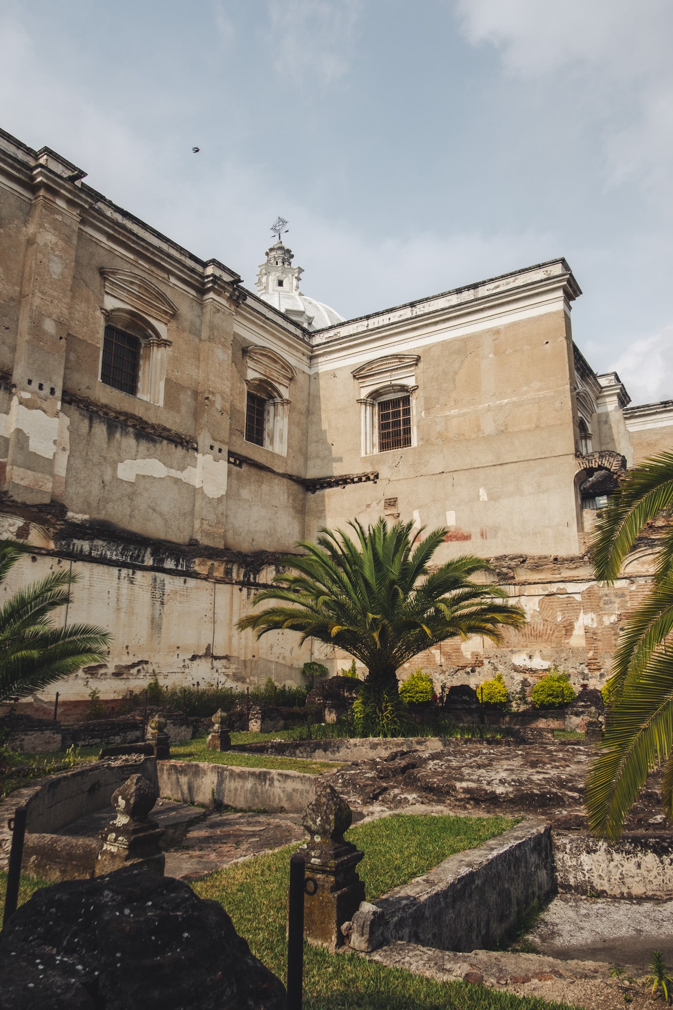 nature et ruines antigua