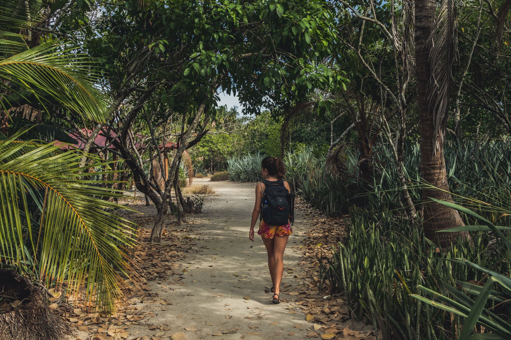 Mimi découvre l'île de Cabuya