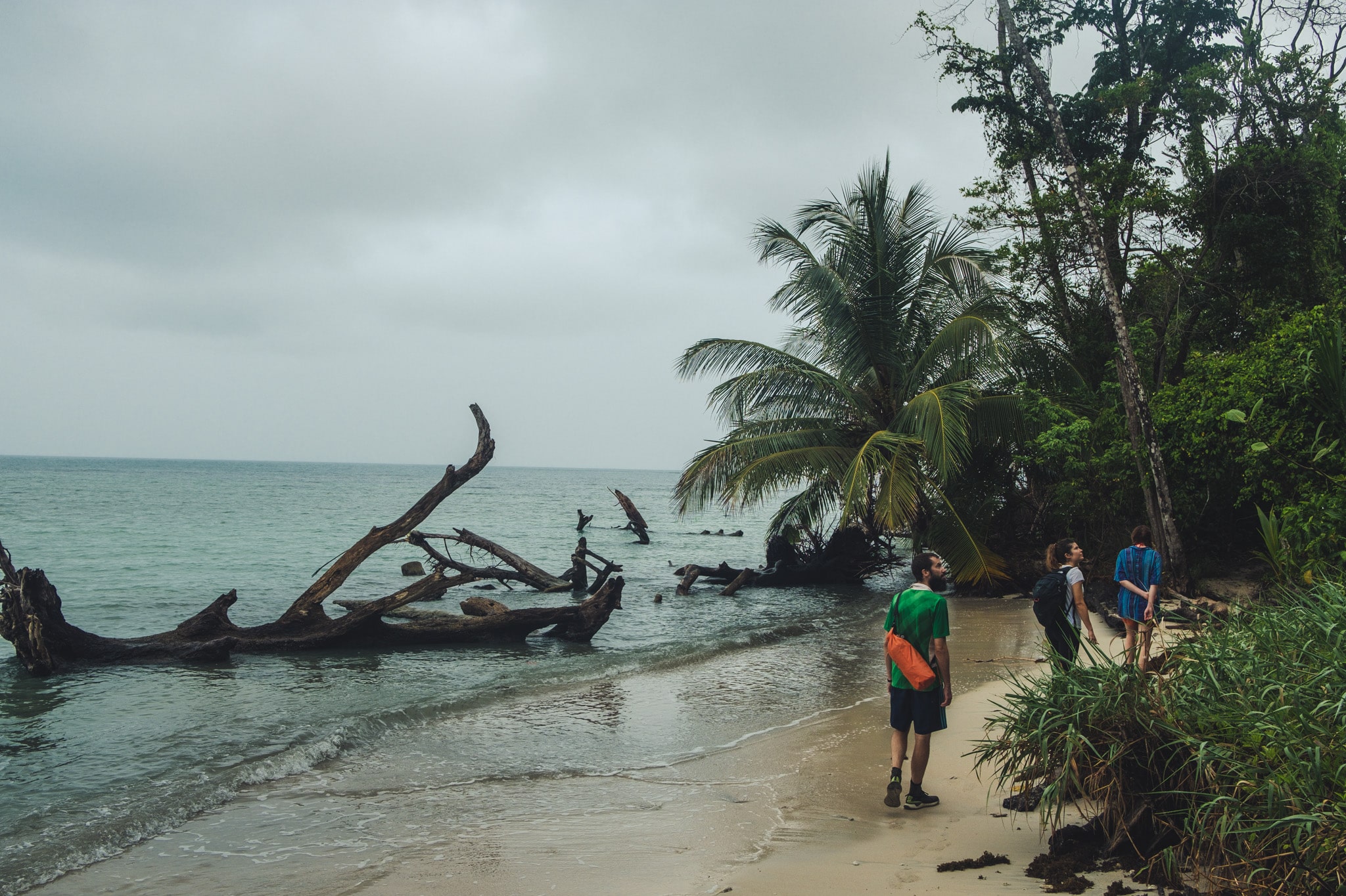 observation a cahuita caraibes costa rica