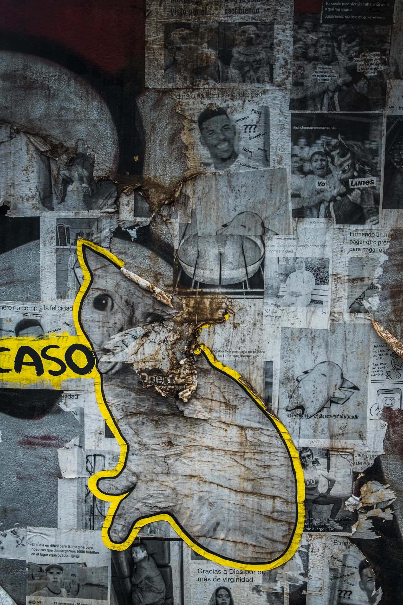 Collages géants à San José