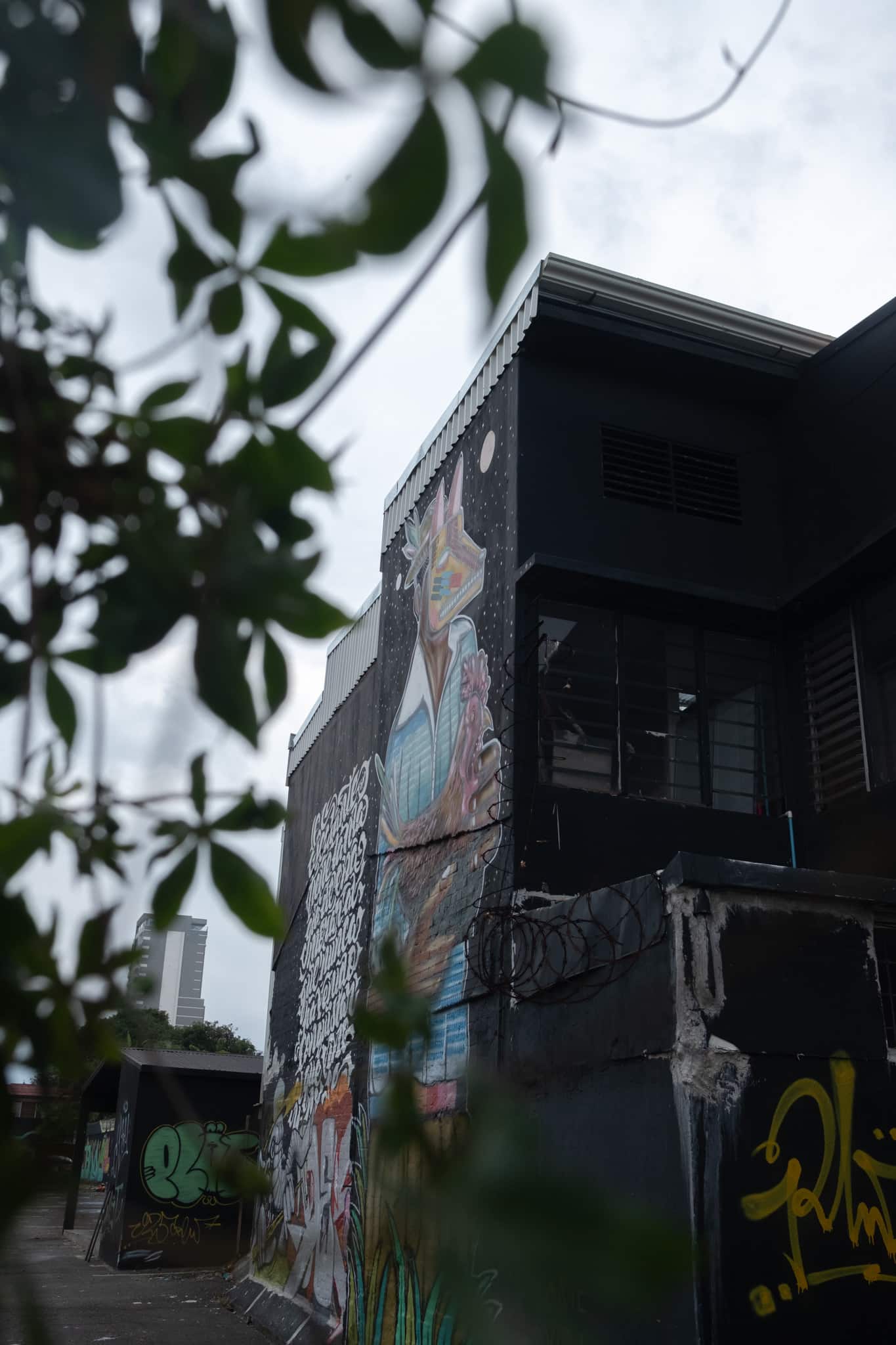 Graff dans un parking à San José