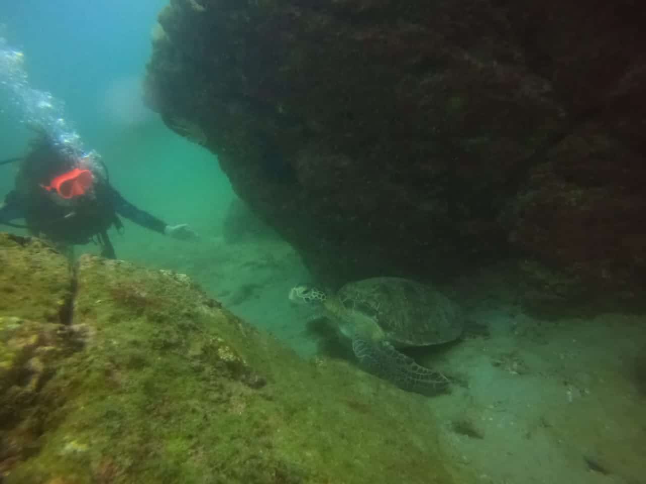 Rencontre infortuite, que se disent-ils ?