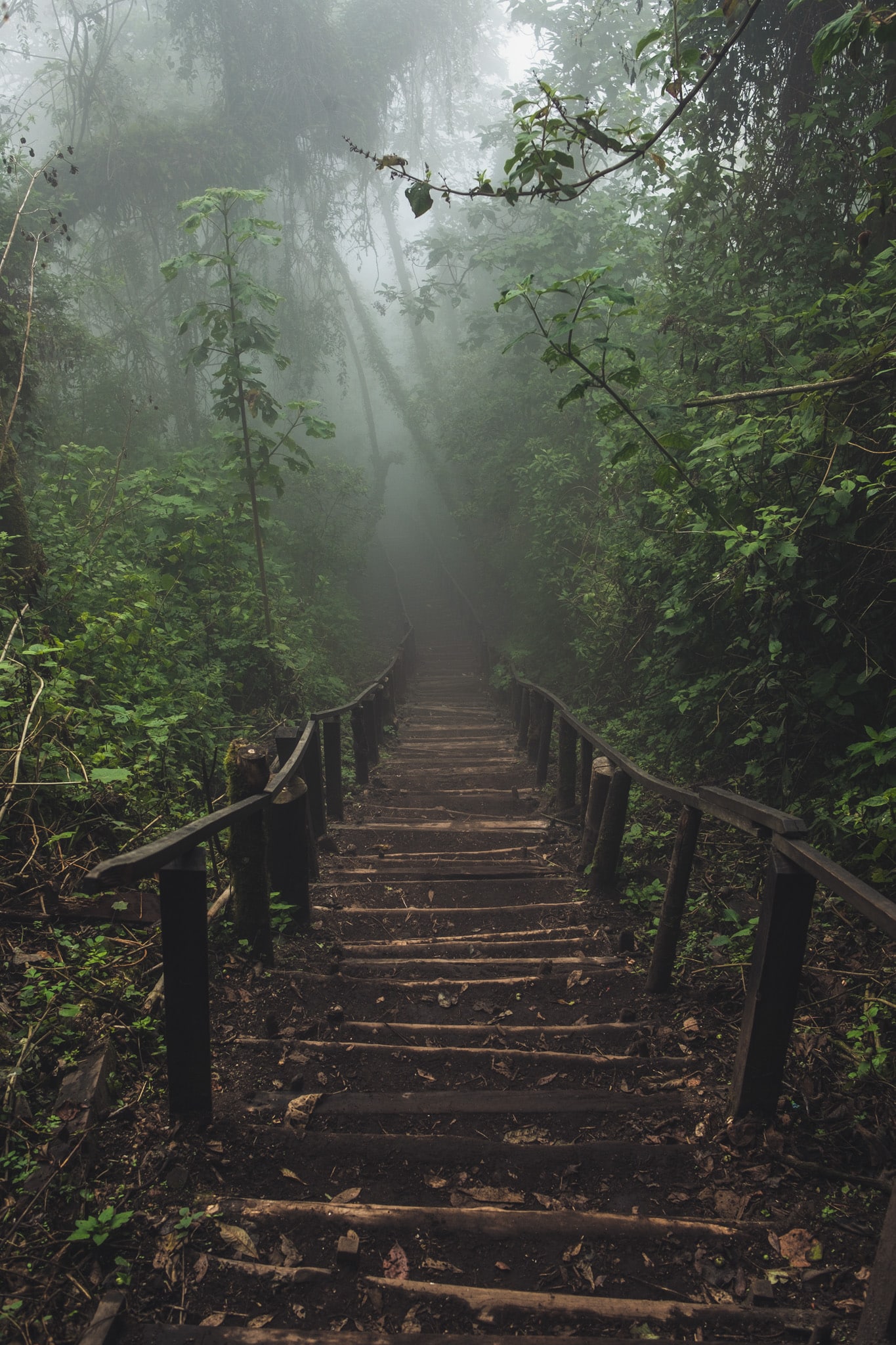 on s'enfonce vers la lagune de chikabal