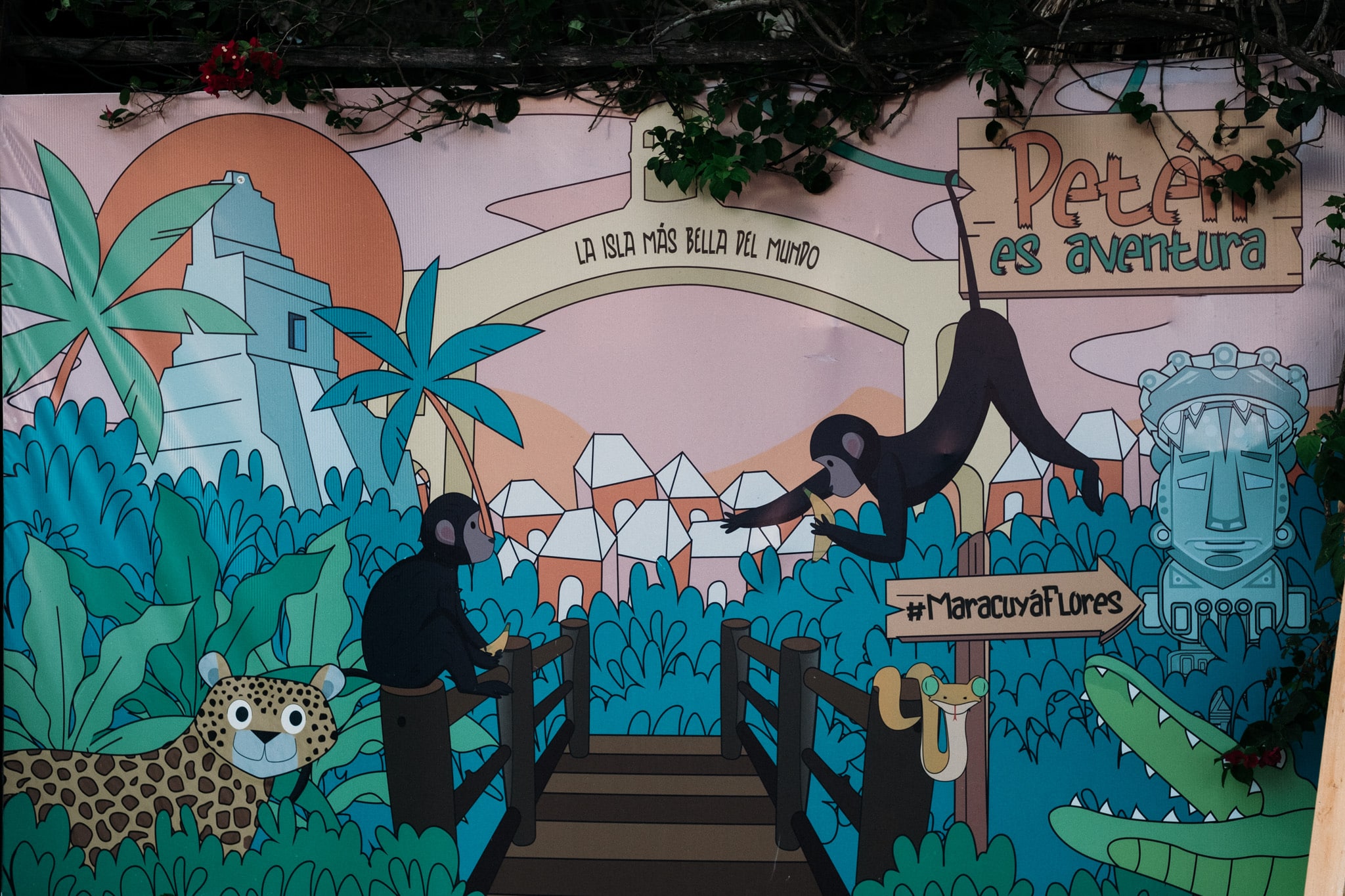 Graffiti flores maracuya