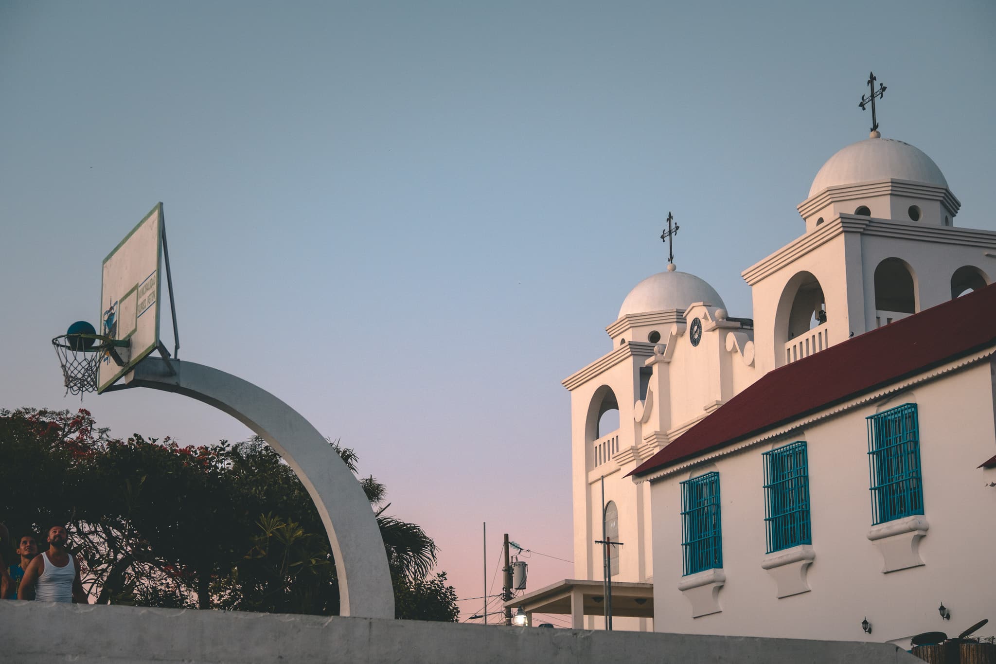 Couleurs de coucher de soleil sur flores