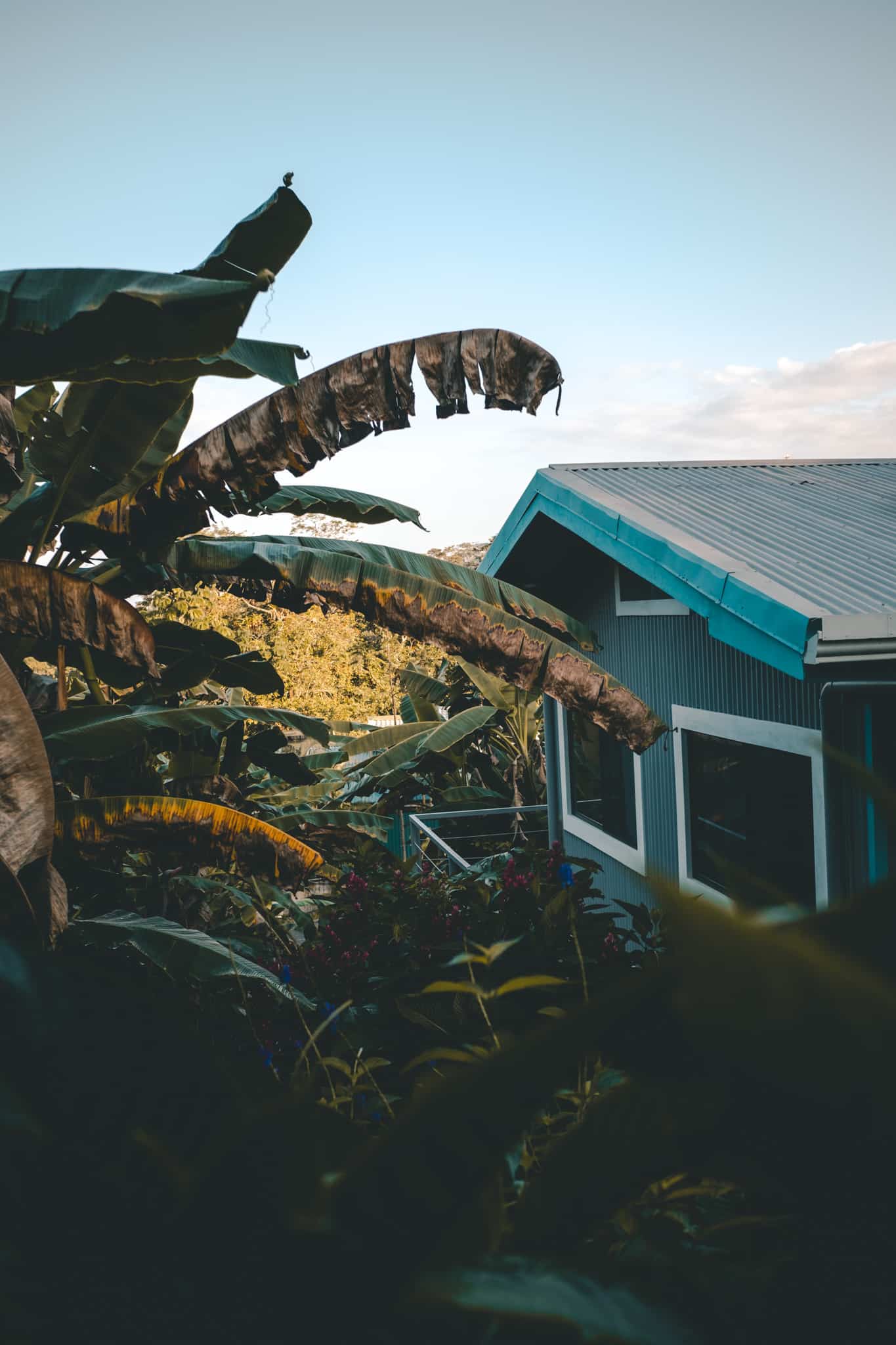 Logement à Manuel Antonio