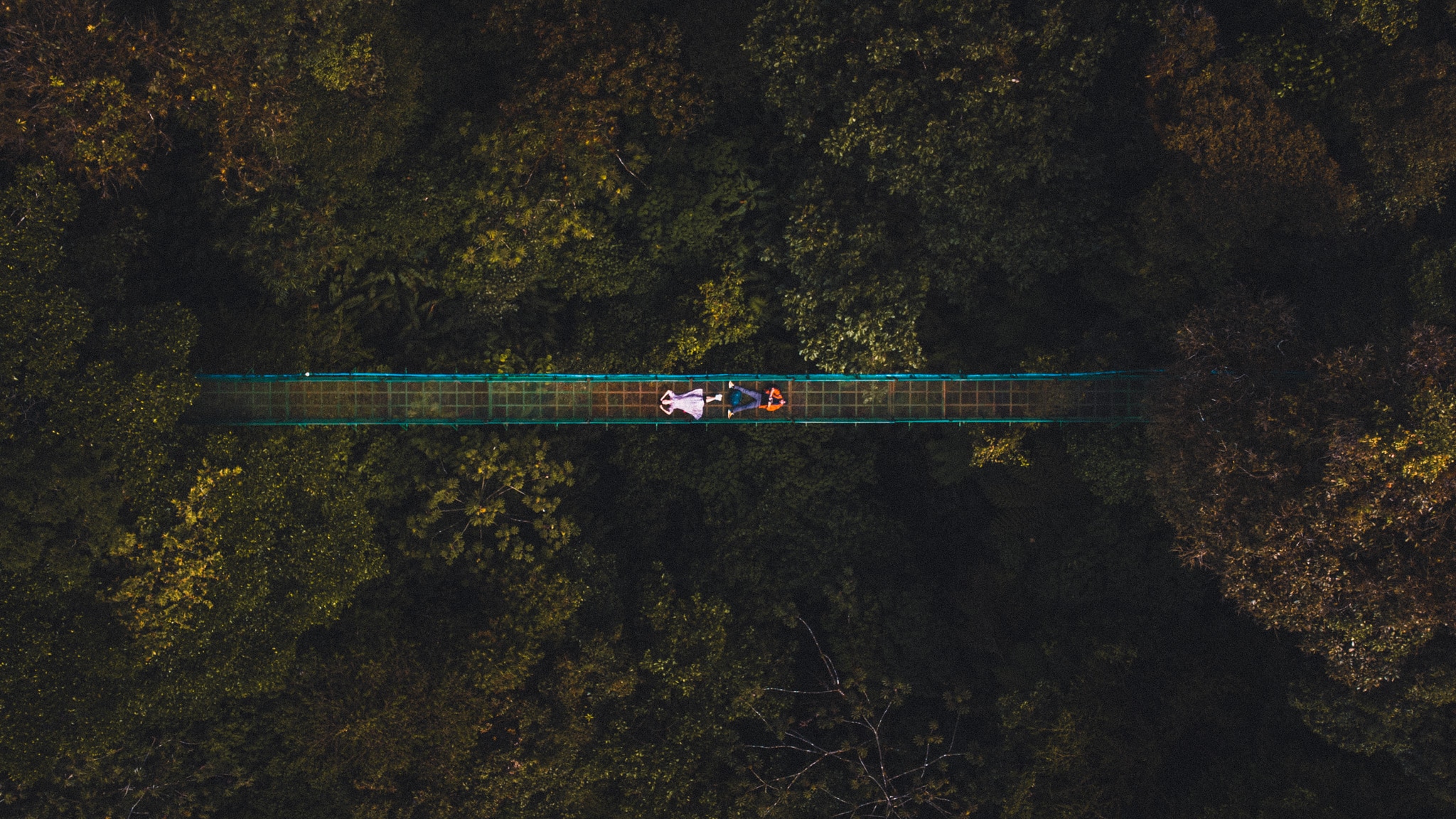 les ponts suspendus de Monteverde