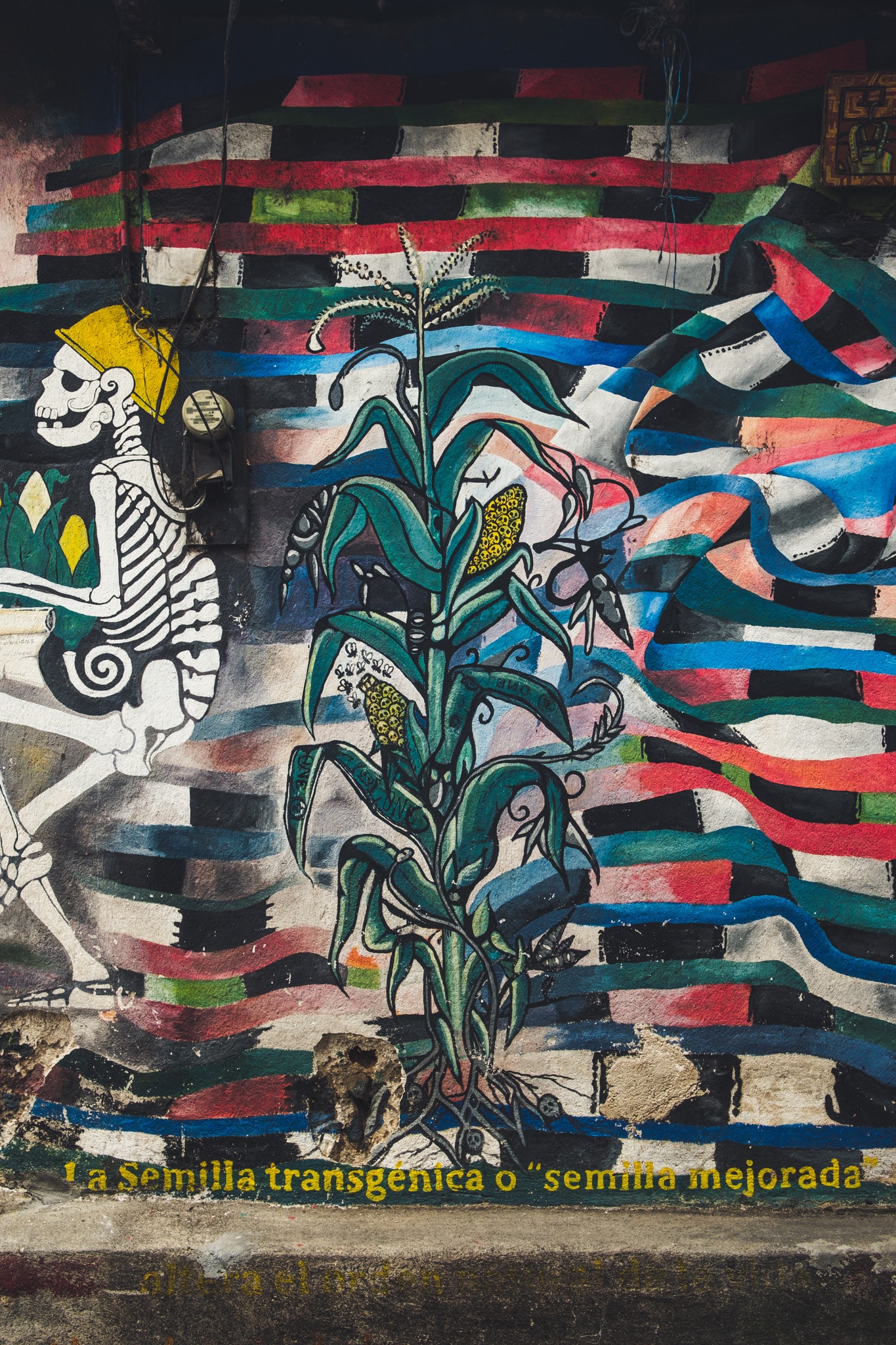 Les OGM ne sont pas les bienvenus