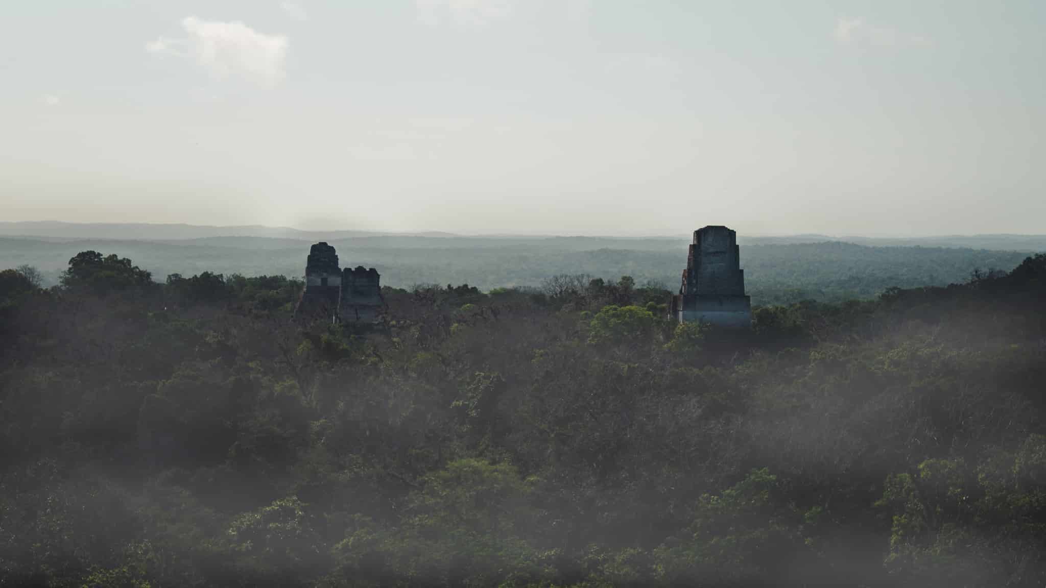 brume sur tikal