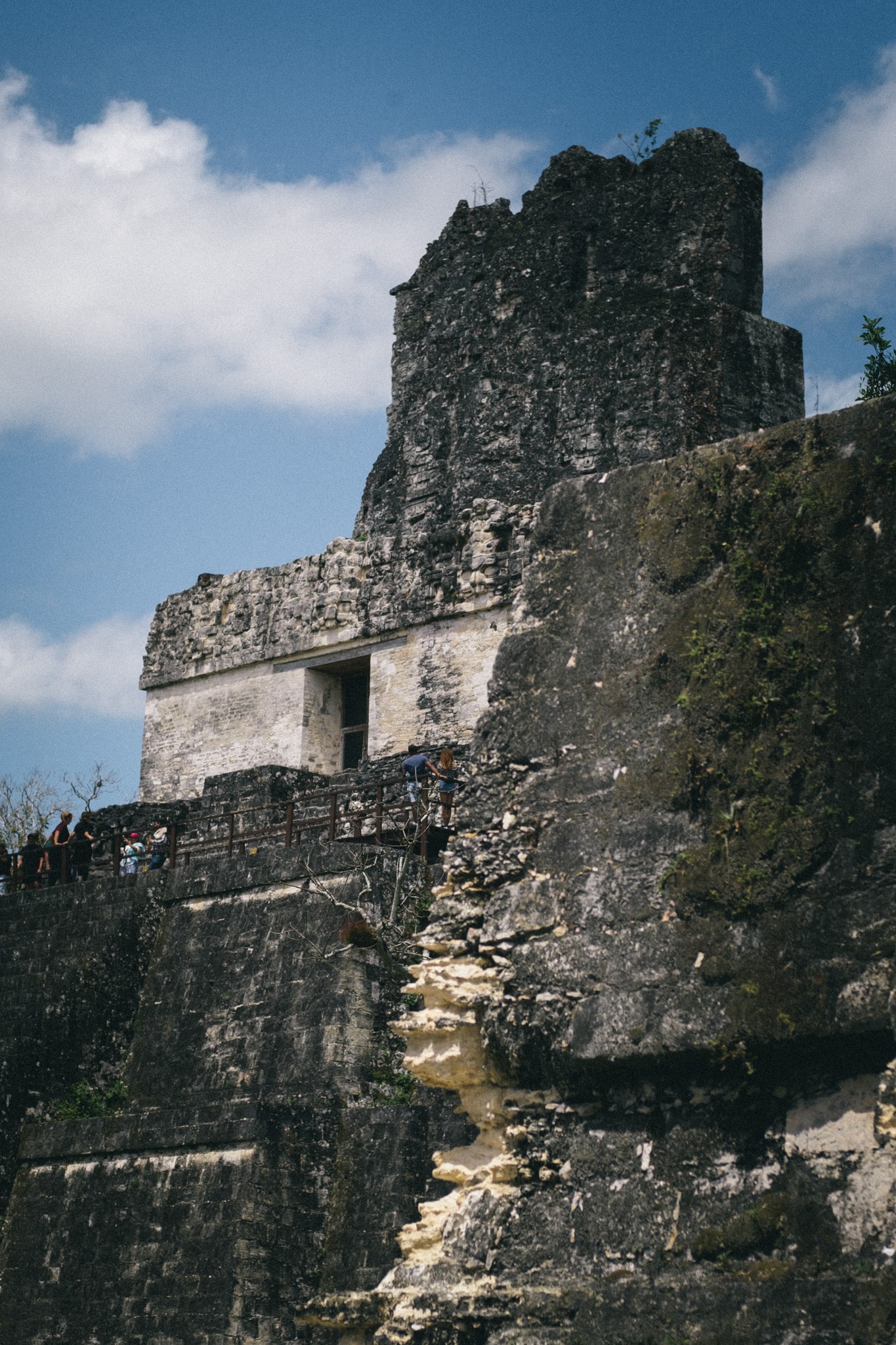 Portrait temple de la reine tikal