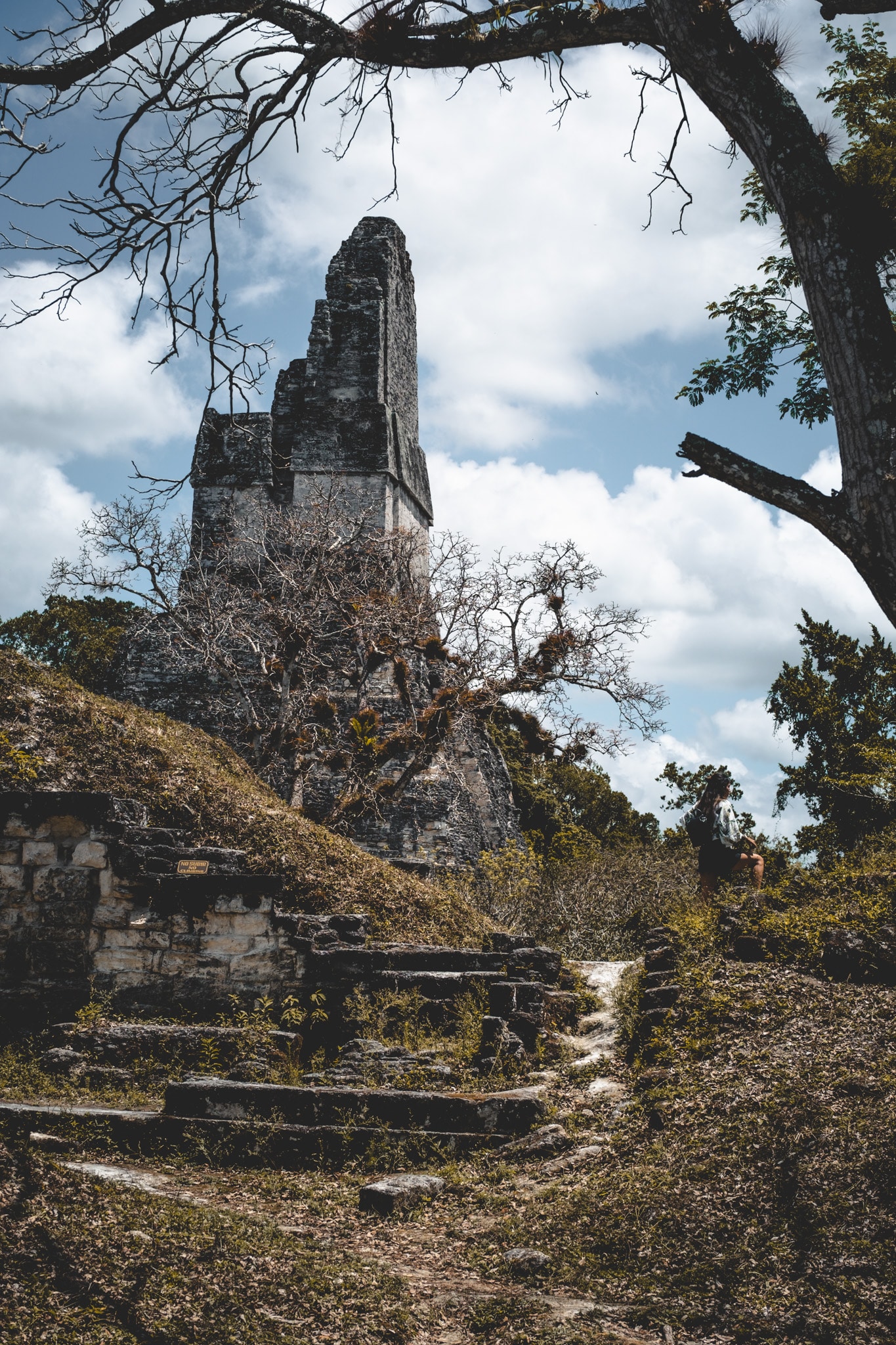 Depuis les palais sur Tikal