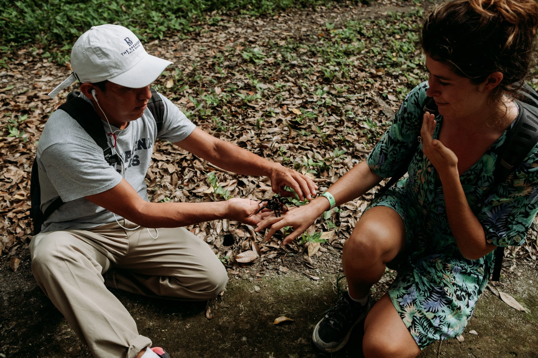 le guide mimi et l'araignée