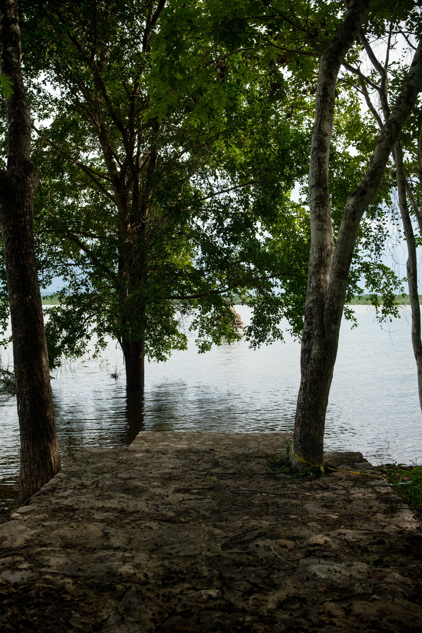 visiter yaxha et sa lagune