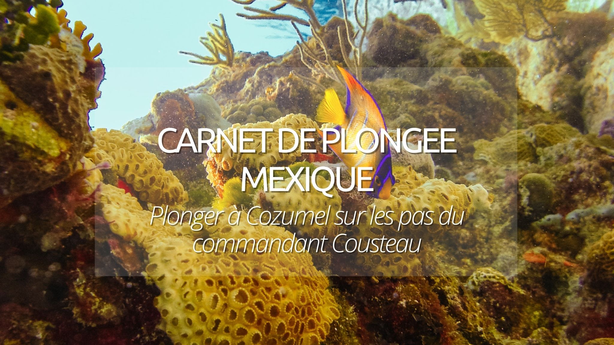 couverture plonger à cozumel