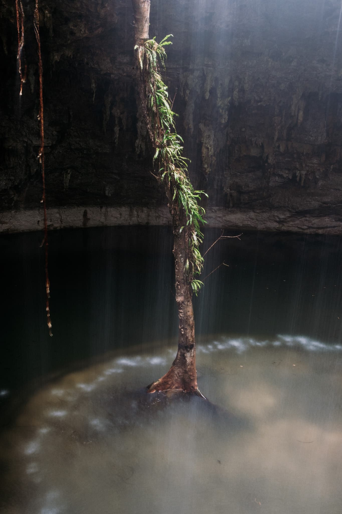 saison des pluies mexique