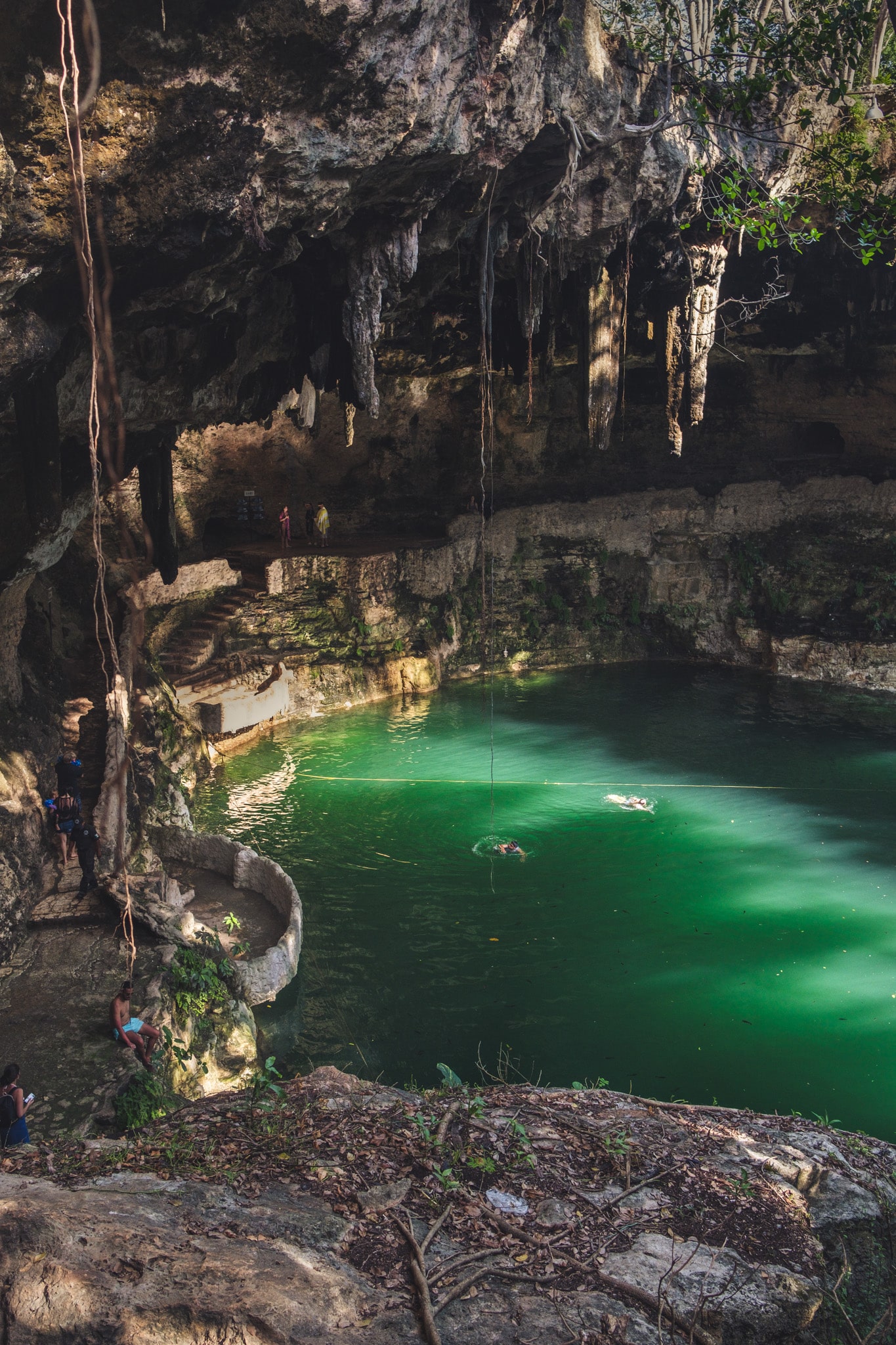 Cenote zaci 45m de diamètre