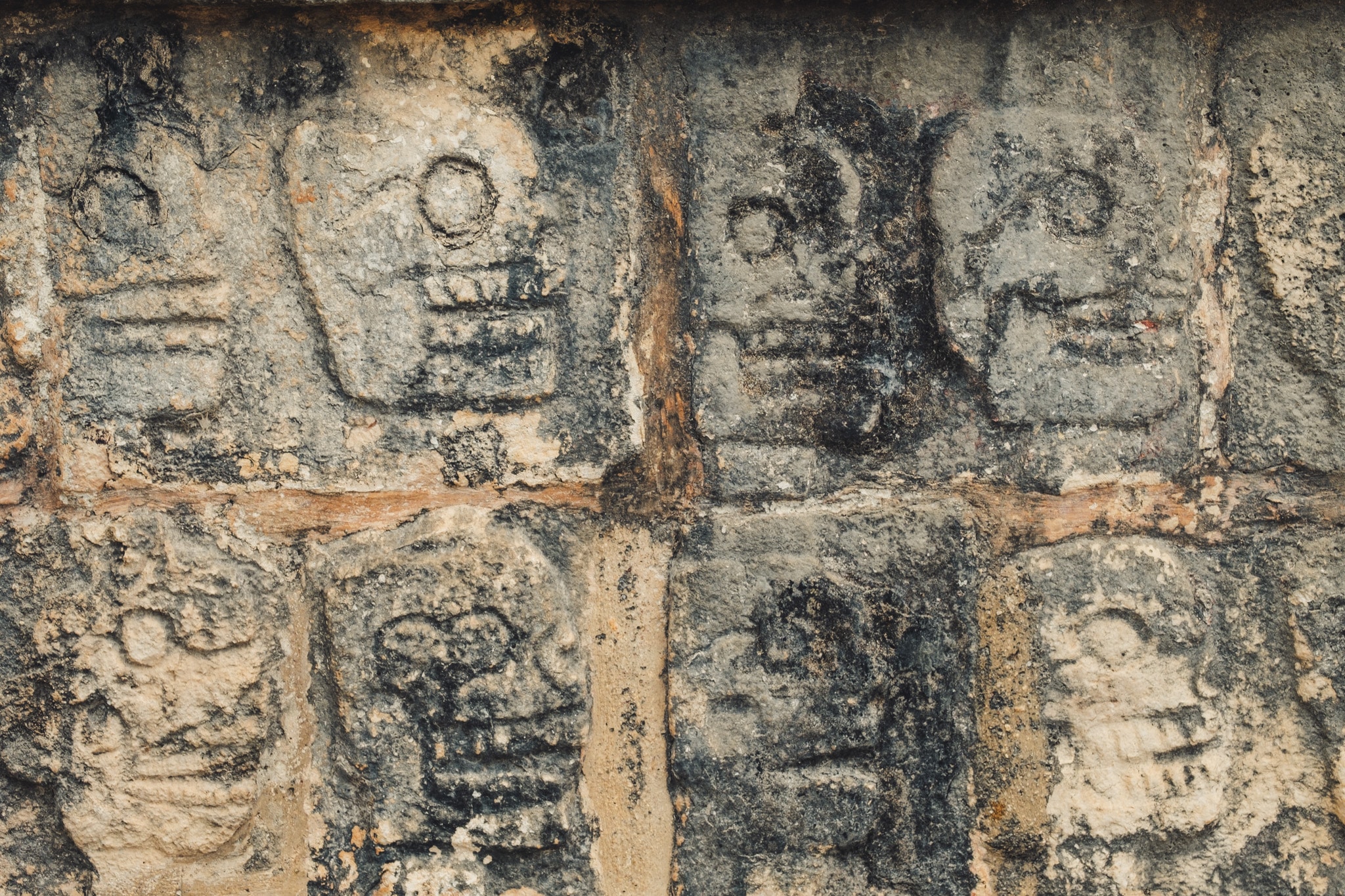 les cranes de l'autel